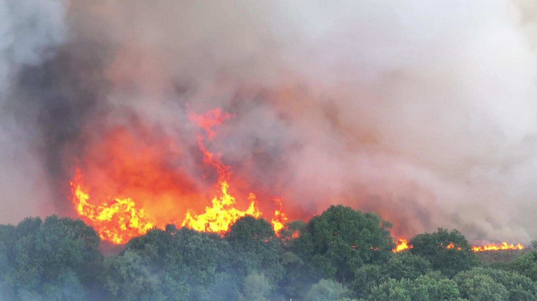 Orange and red flames in the trees and white smoke flowing up into the sky seen from above a large fire on a heath.