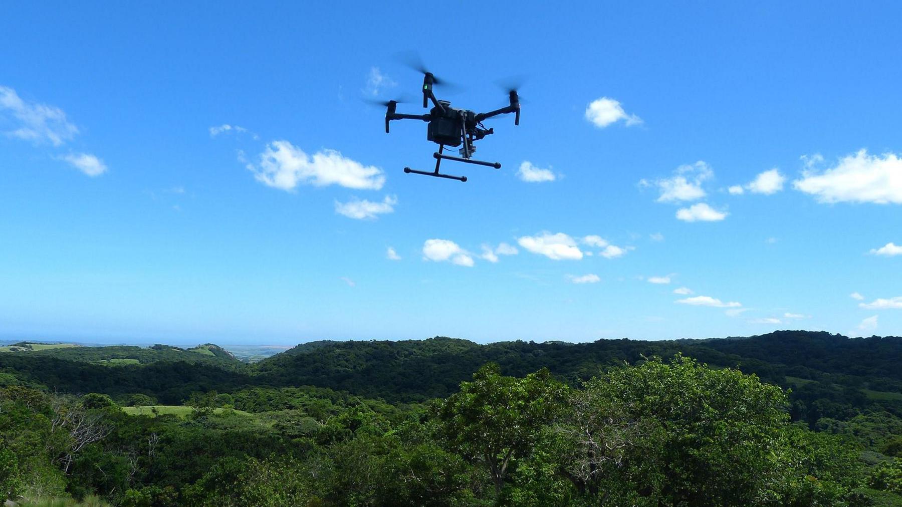 A drone above a large forest