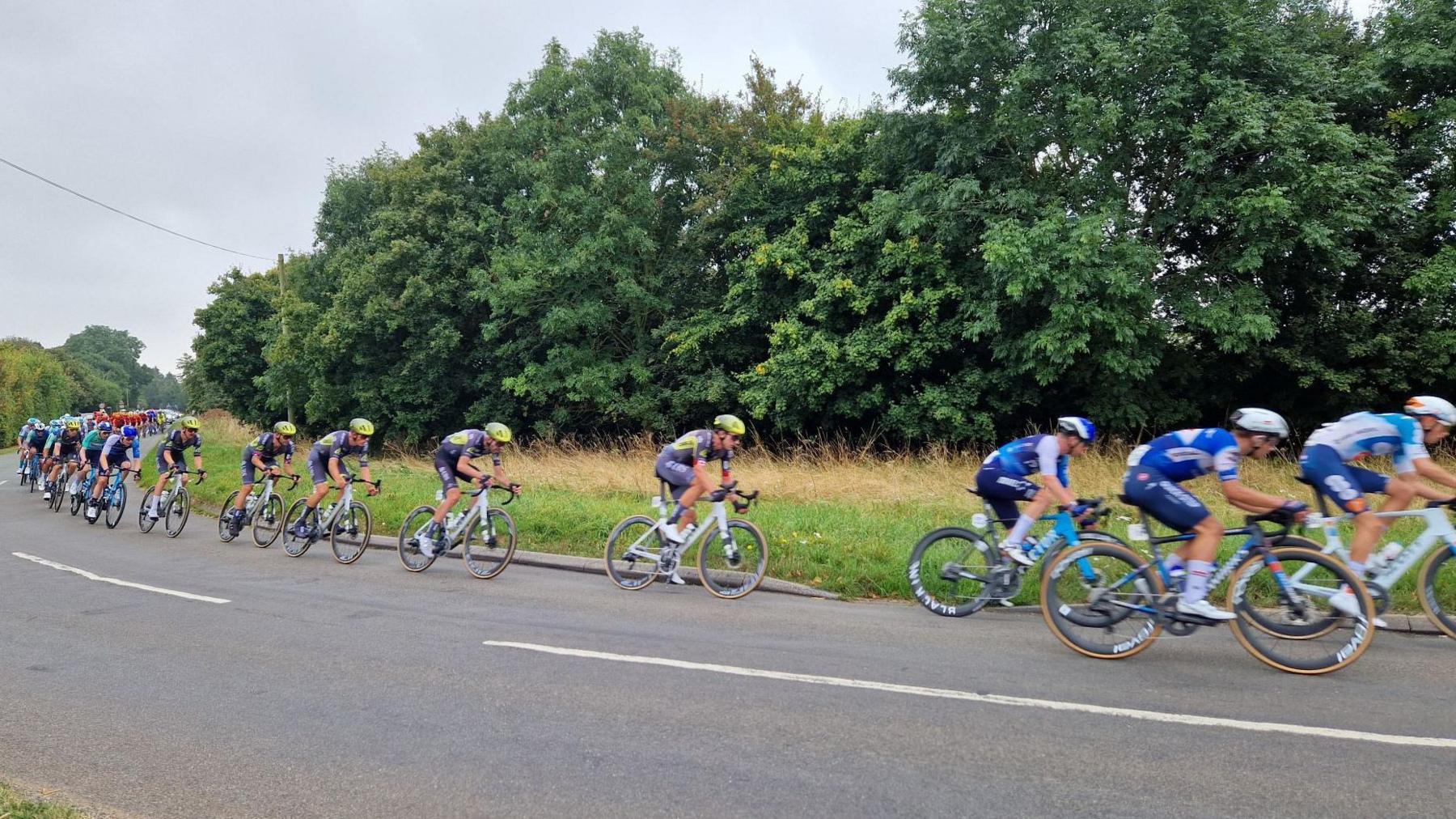 Lots of cyclists riding through the countryside with trees next to them. They are all wearing helmets and coloured jerseys on a grey day.