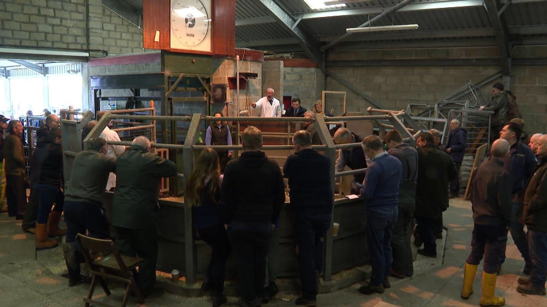 Margaidh Loch Baghasdail