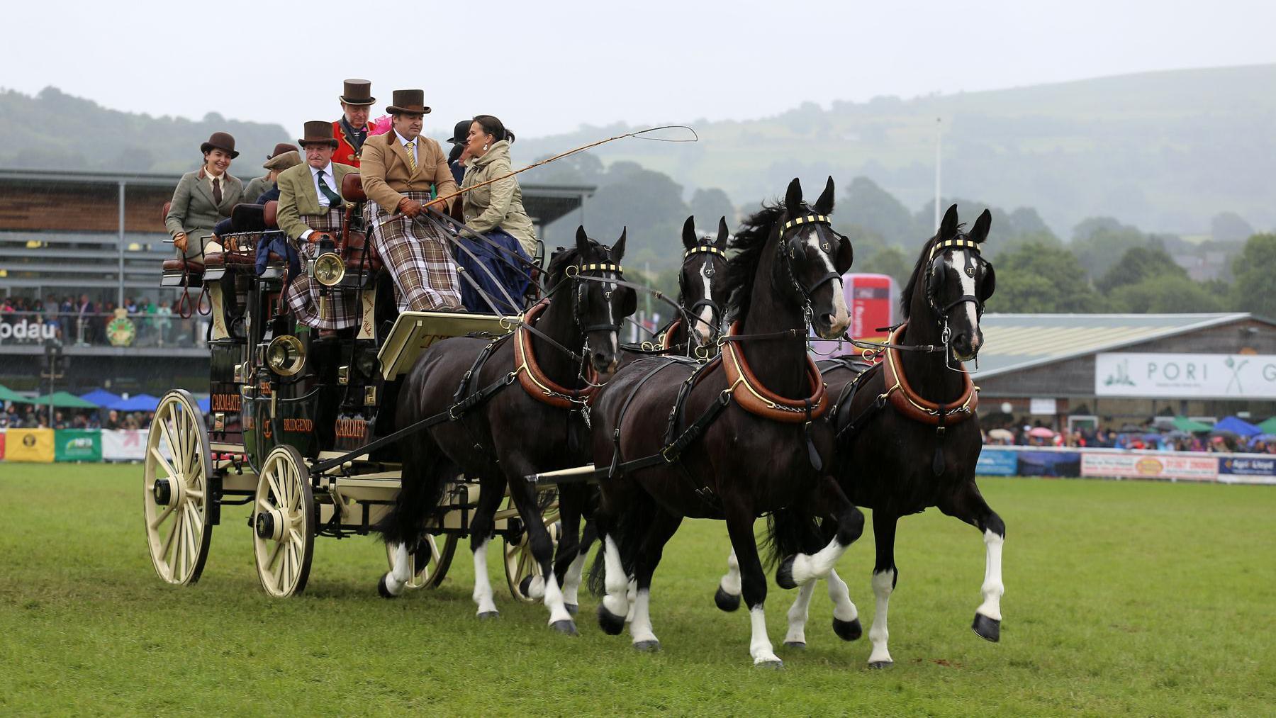 A carriage driving display at the Royal Welsh Show