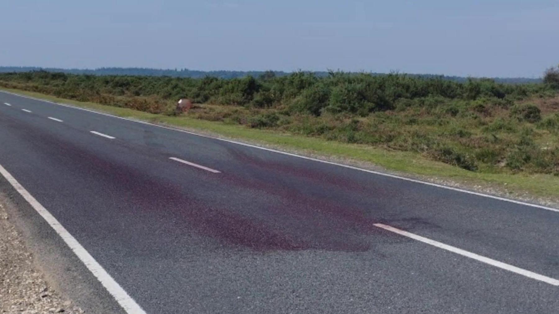 A straight road with a large area of blood spread along both sides of the road