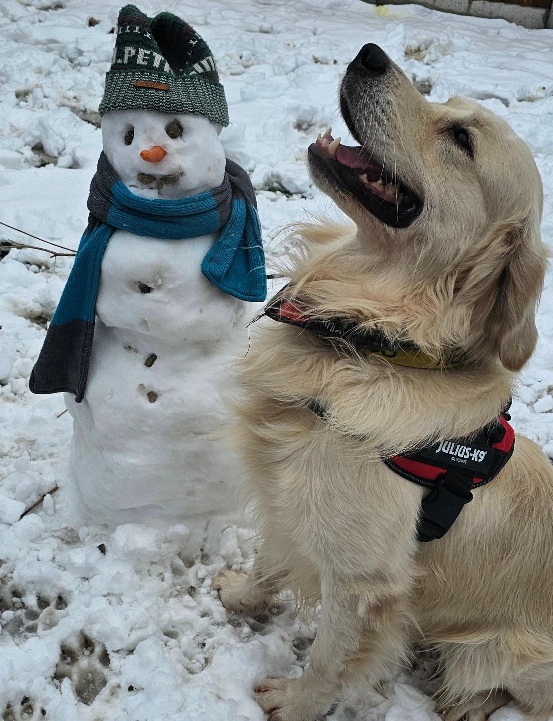 Snowman next to a dog. 