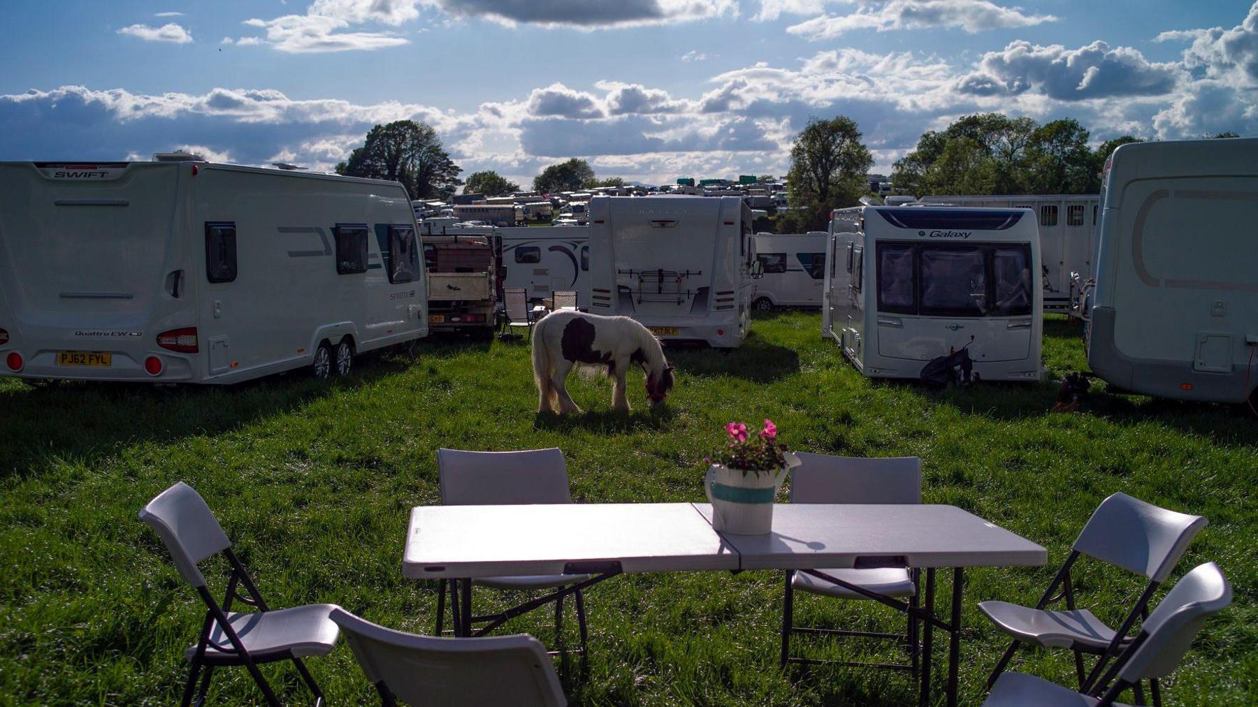 Horse eating grass in front of caravans and a black table and chairs with pink powers in a pot.