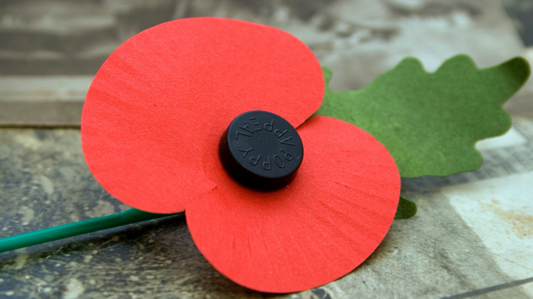 A picture zoomed in on one bright red poppy with a green leaf 