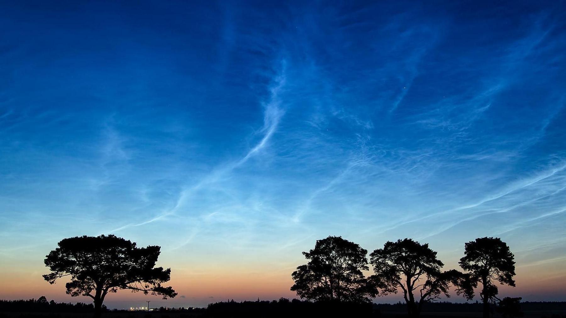 The streaky blue and silver clouds appear against a sky pink and dark blue in colour. Large leafy trees are silhouetted against the sky.