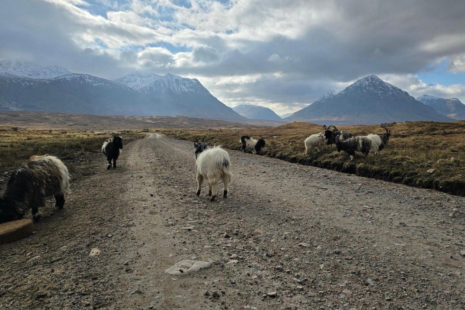 The road to Black Corries lodge near Kingshouse hotel.