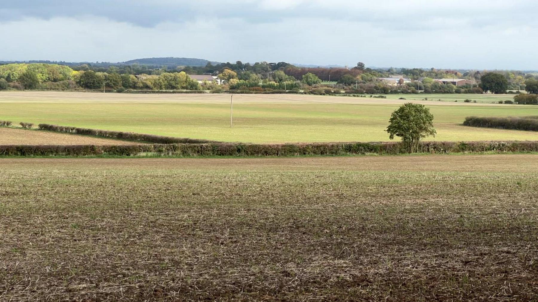 A landscape picture of fields around Noke - where a solar farm is being planned.