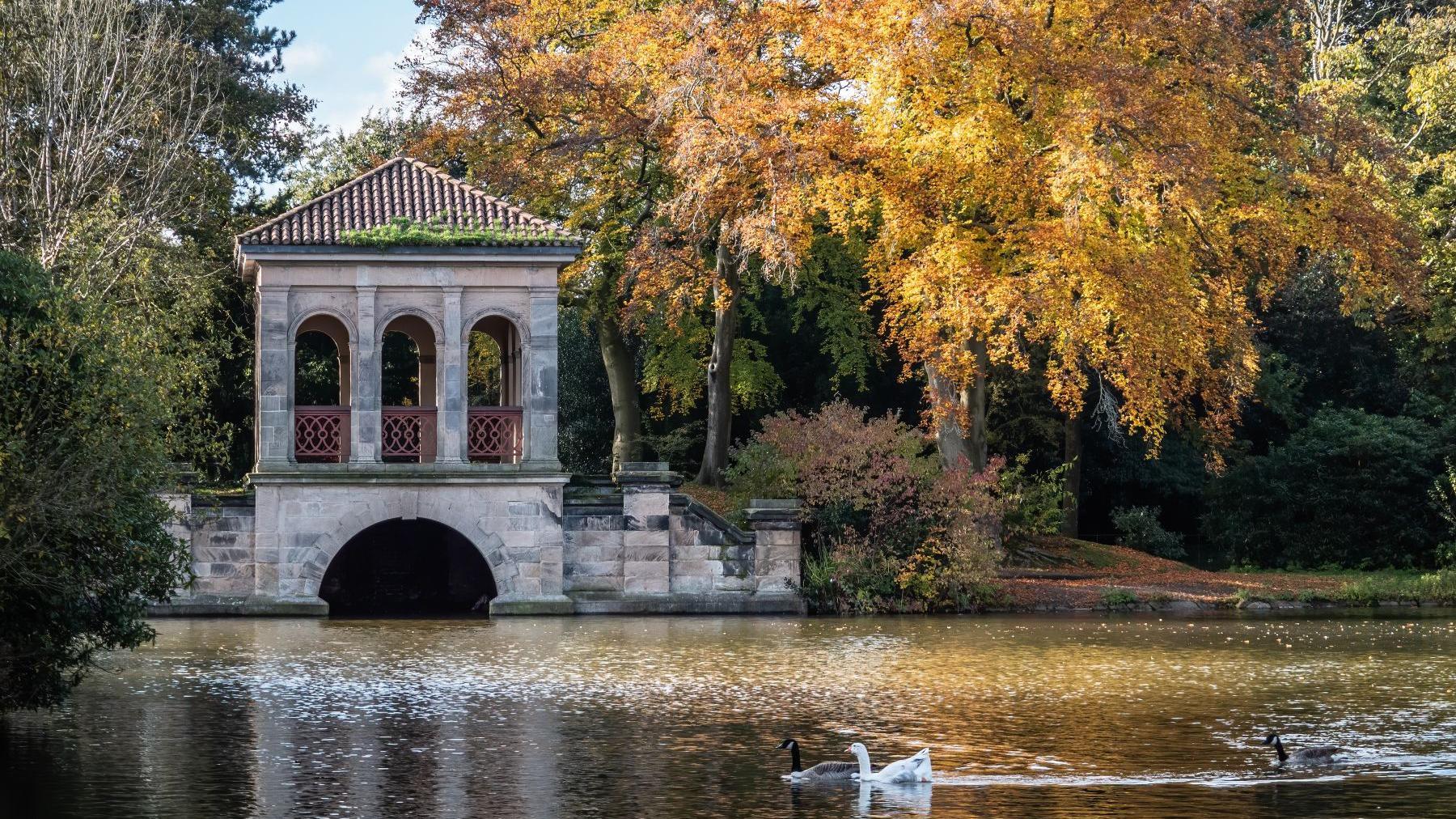 Birds can be seen swimming in the lake at Birkenhead Park, with a Chinese pagoda seen in the background, along with trees.