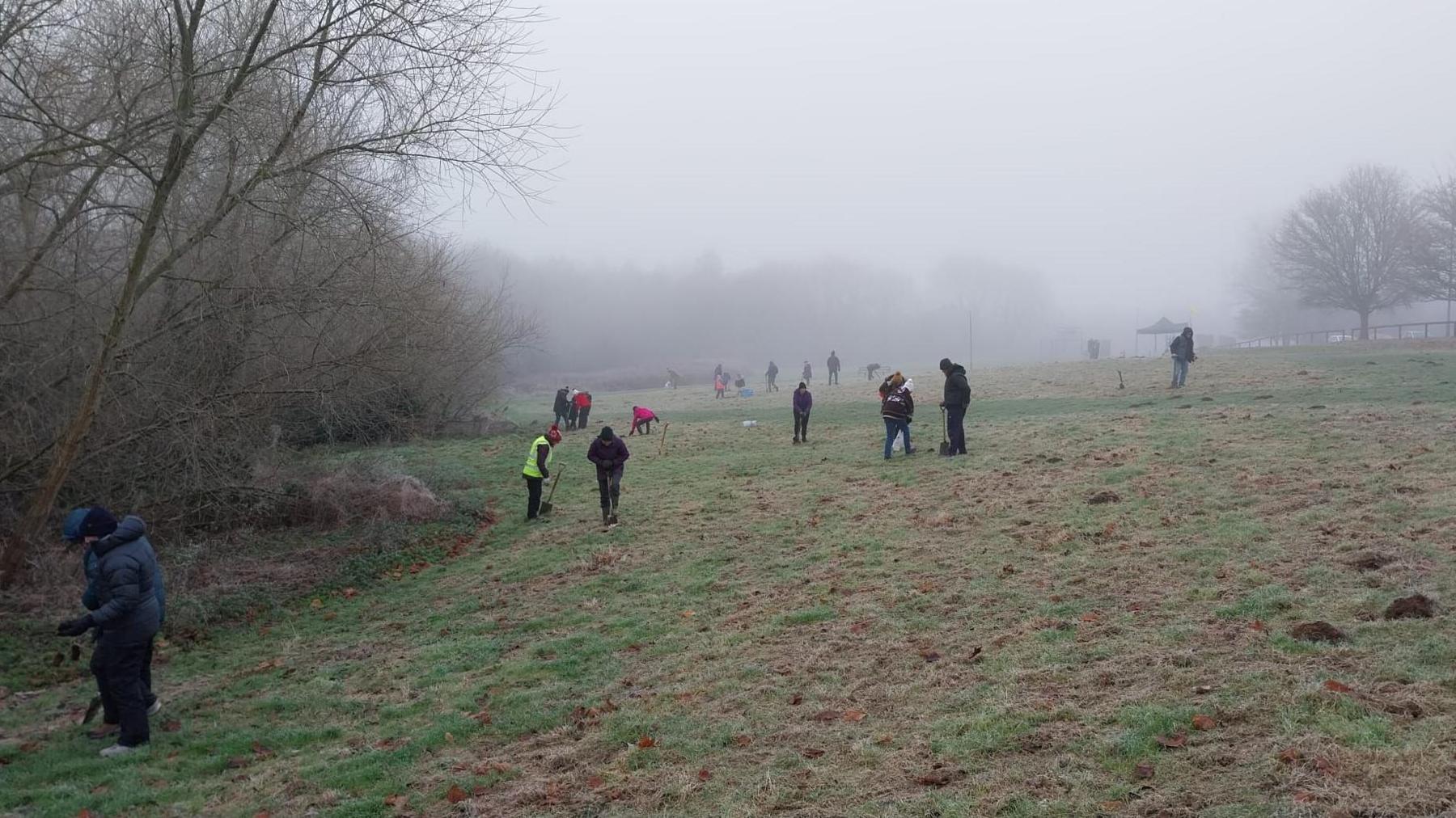 Tree planting in Wellingborough