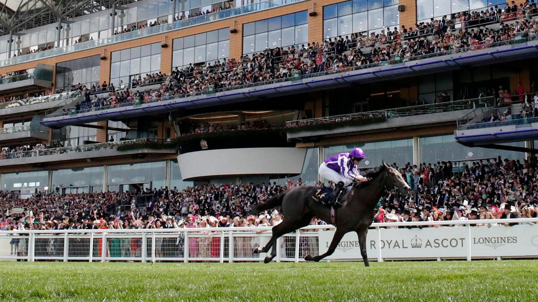 A man riding a race horse past crowded stands.