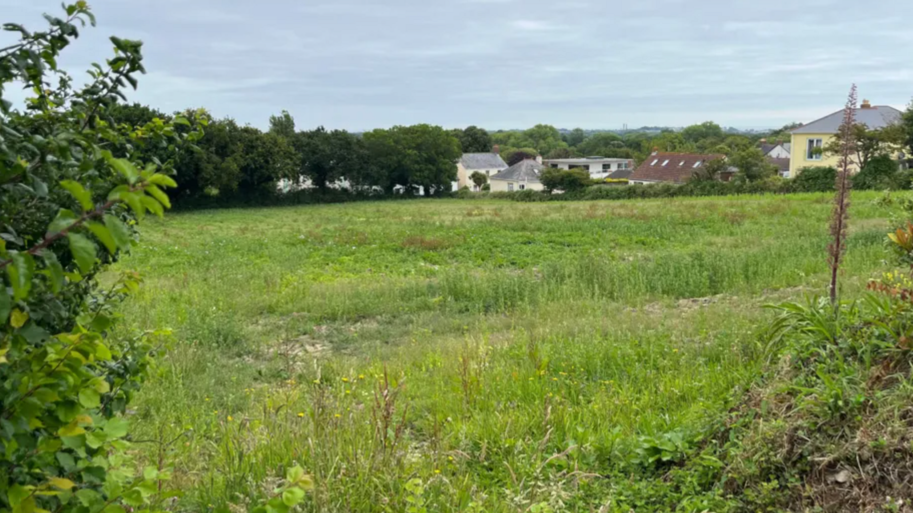 A large field overgrown with houses and trees in the distance on a cloudy day