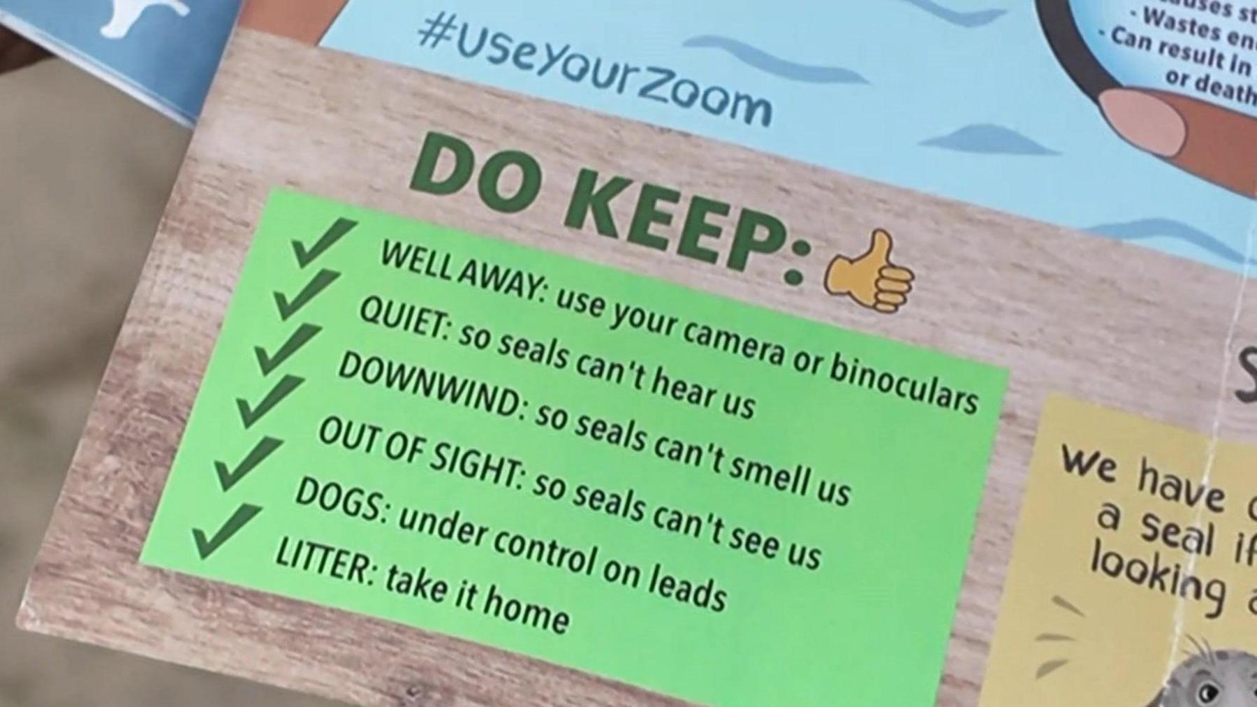 A bright green sign on a leaflet gives advice on how to keep seals safe in the wild and how to give them space