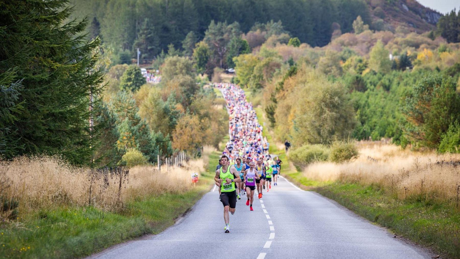 Marathon runners run down a tree-lined road 