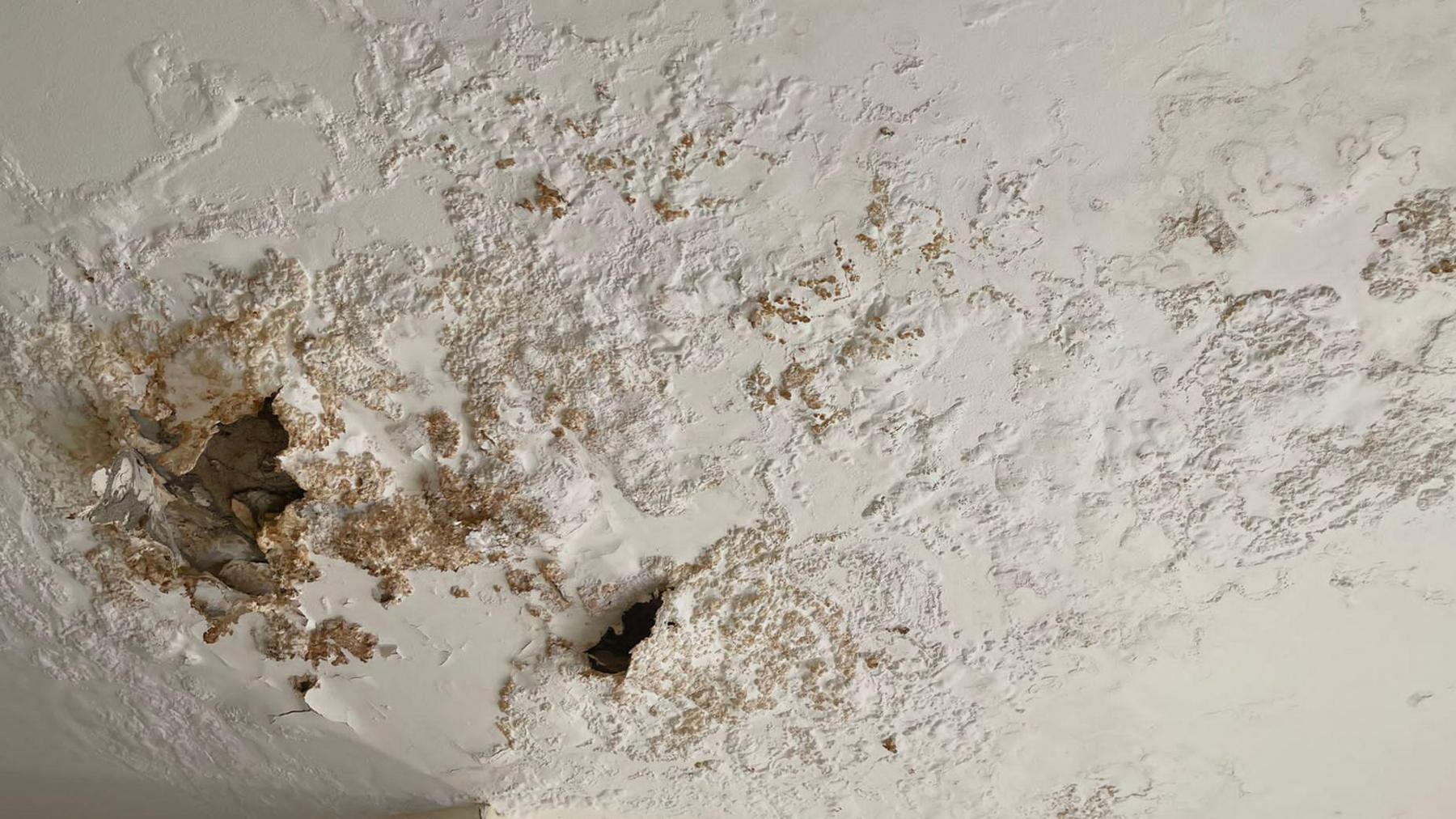 A white painted damaged ceiling which shows patches of blistered plaster coming off the ceiling showing the layers underneath.