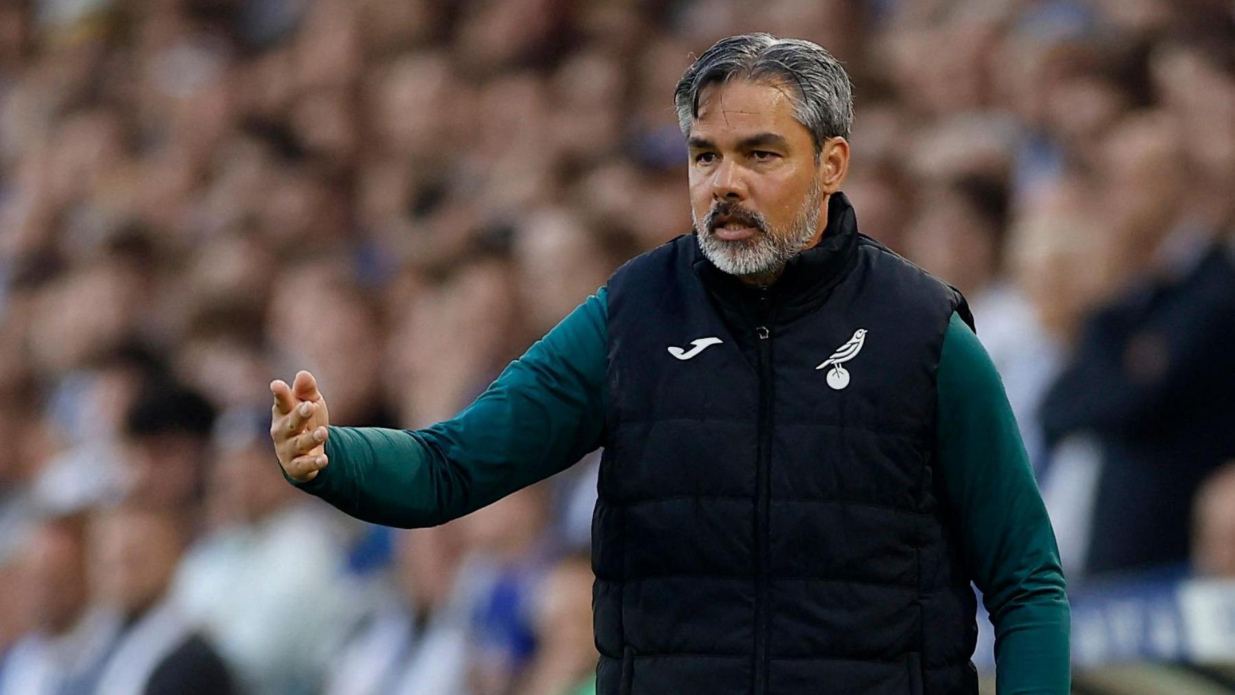 David Wagner during Norwich's play-off defeat at Leeds