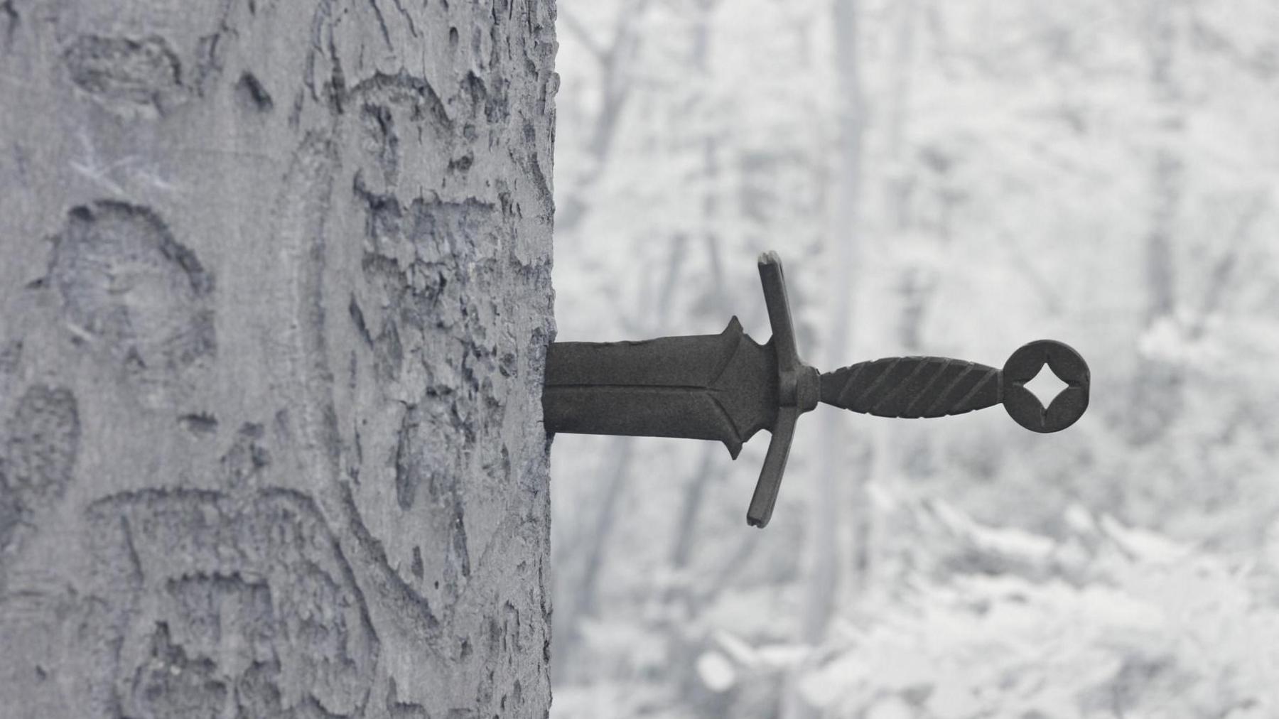 A sword hilt and the base of the blade can be seen protruding from the trunk of a tree which has carvings on it. The hilt has a diagonal line pattern and the pommel has a hole through the middle of it.