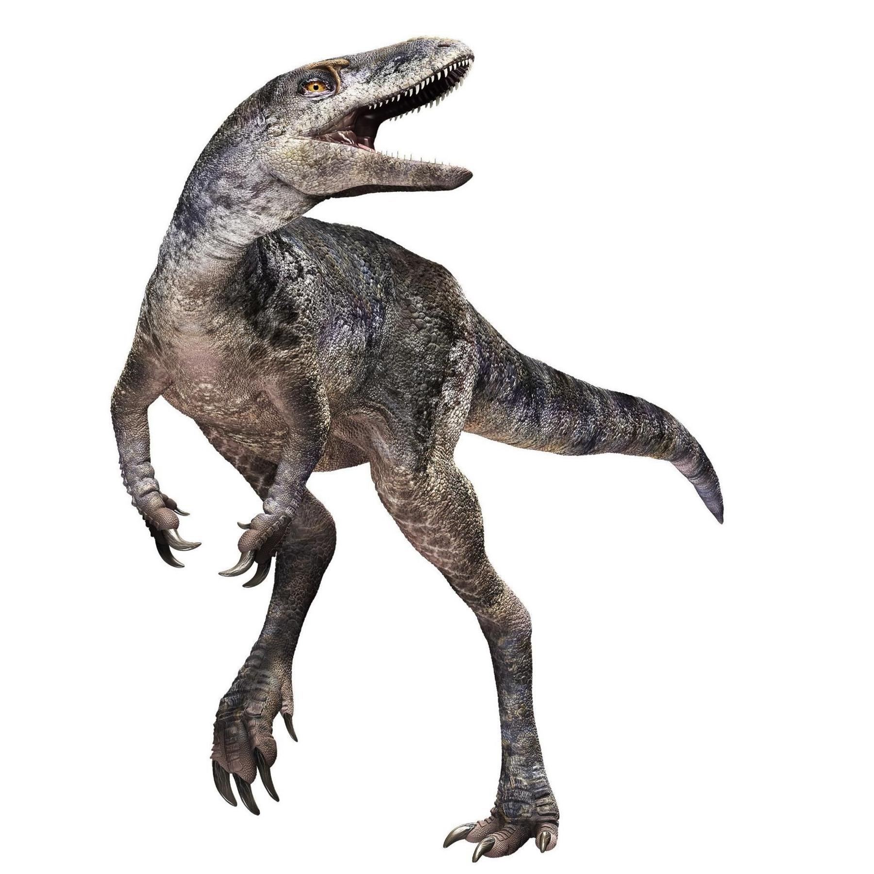 The image shows a detailed artist's impression of a carnivorous dinosaur that has been named Khankhuuluu mongoliensis. It is upright on hindlegs with much shorter, smaller forelimbs and long claws. It has a large, quite elongated head and sharp teeth that it is displaying.