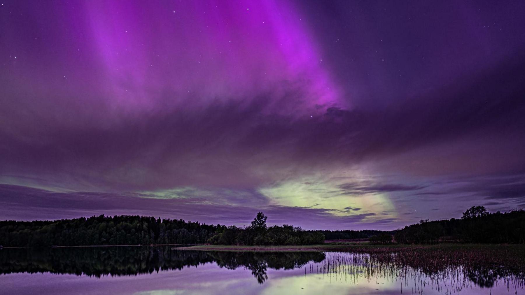 A lake is surrounded by dark trees as purple rays of aurora light shine down above.