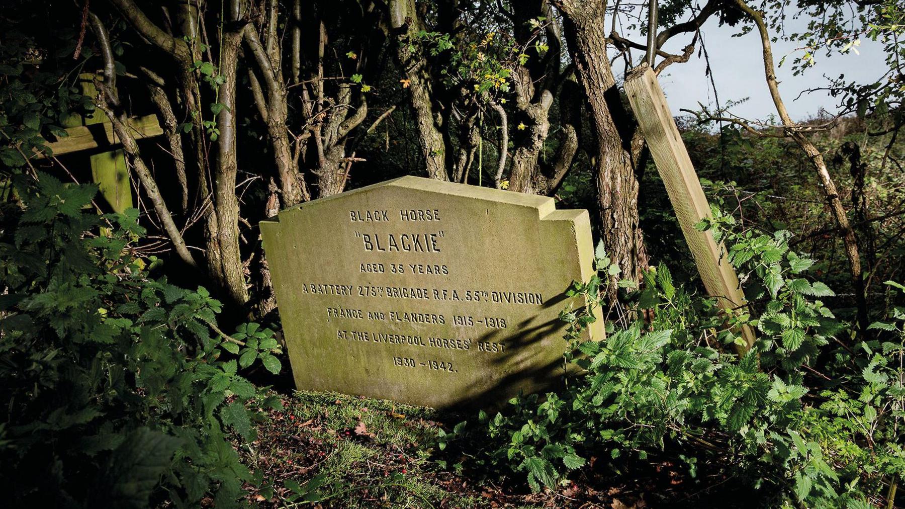 Headstone for grave of war horse Blackie