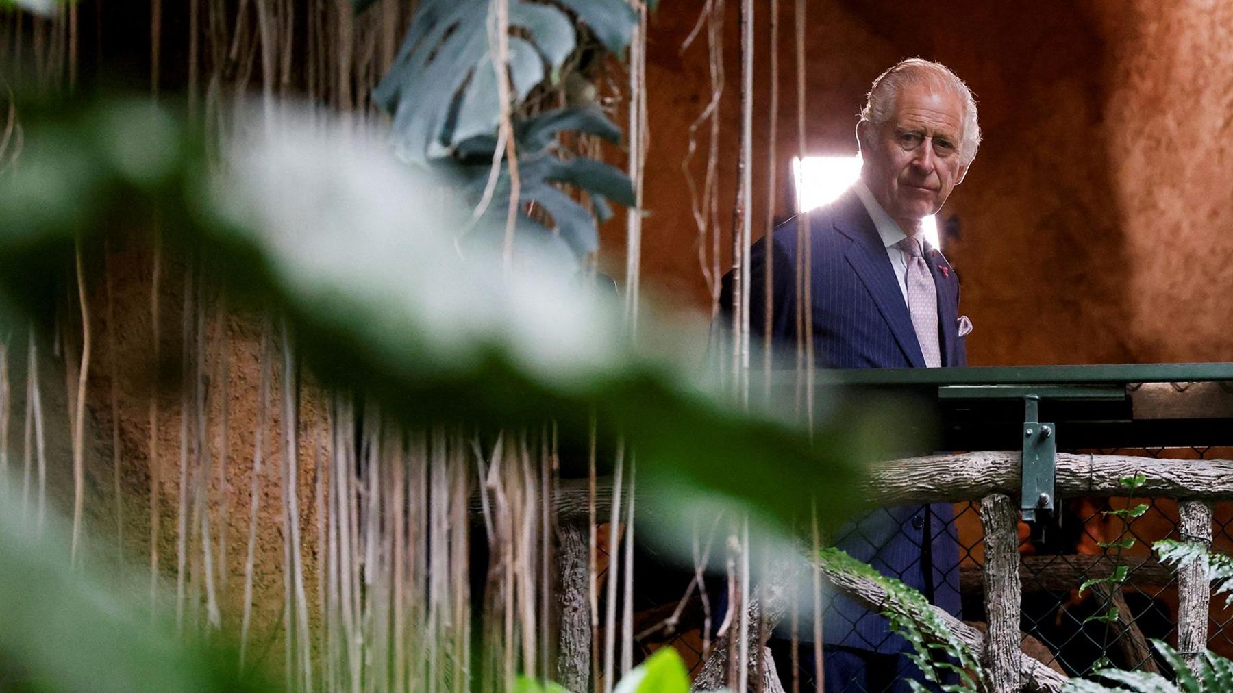 King Charles visit sthe Jardin des Plantes' tropical greenhouse at the Museum of Natural History in Paris