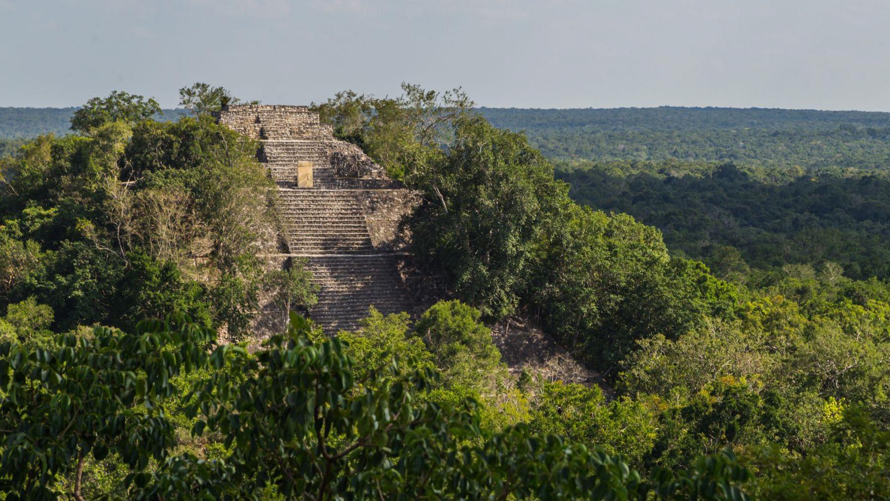 A photograph of the Calakmul Mayan temple pyramid ruins in Campeche, Mexico