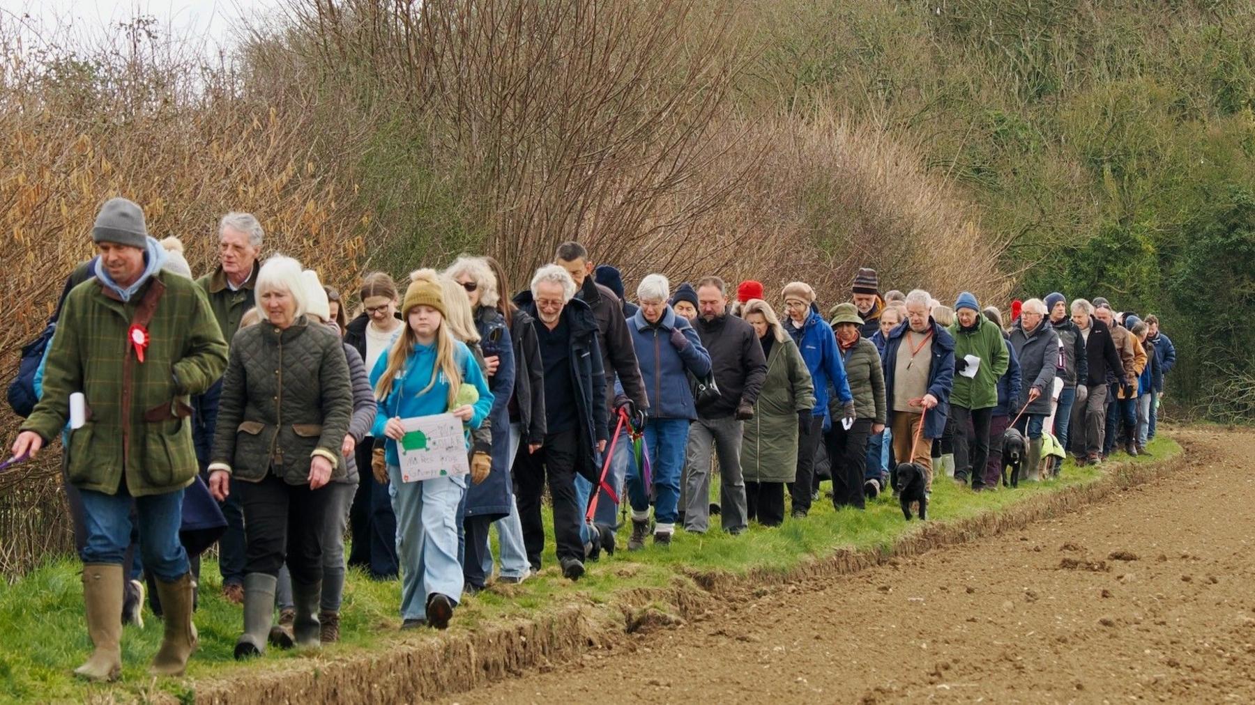 A group of people, some with dogs, walk along the edge of a field.