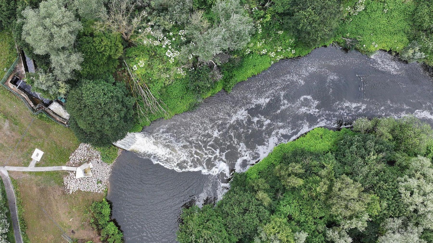 An aerial view of treated effluent flowing from the left to the right, into the River Irwell from the Bolton Wastewater Treatment Works. The river is curved in the shape of an "n", and on the right is a woodland, and to the left a bank of grass with a path to the water cut out of it.