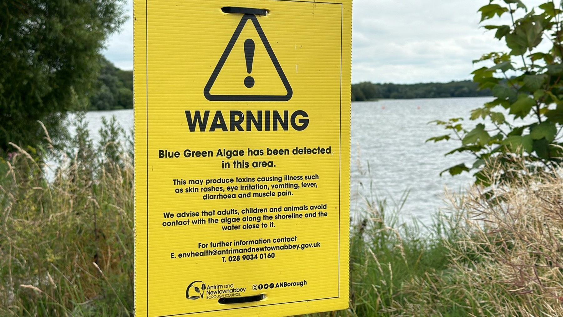 Yellow sign which reads 'blue-green algae has been detected in this area' - with further detail explaining that the algae can cause rashes, eye irritation, fever and muscle pain. 