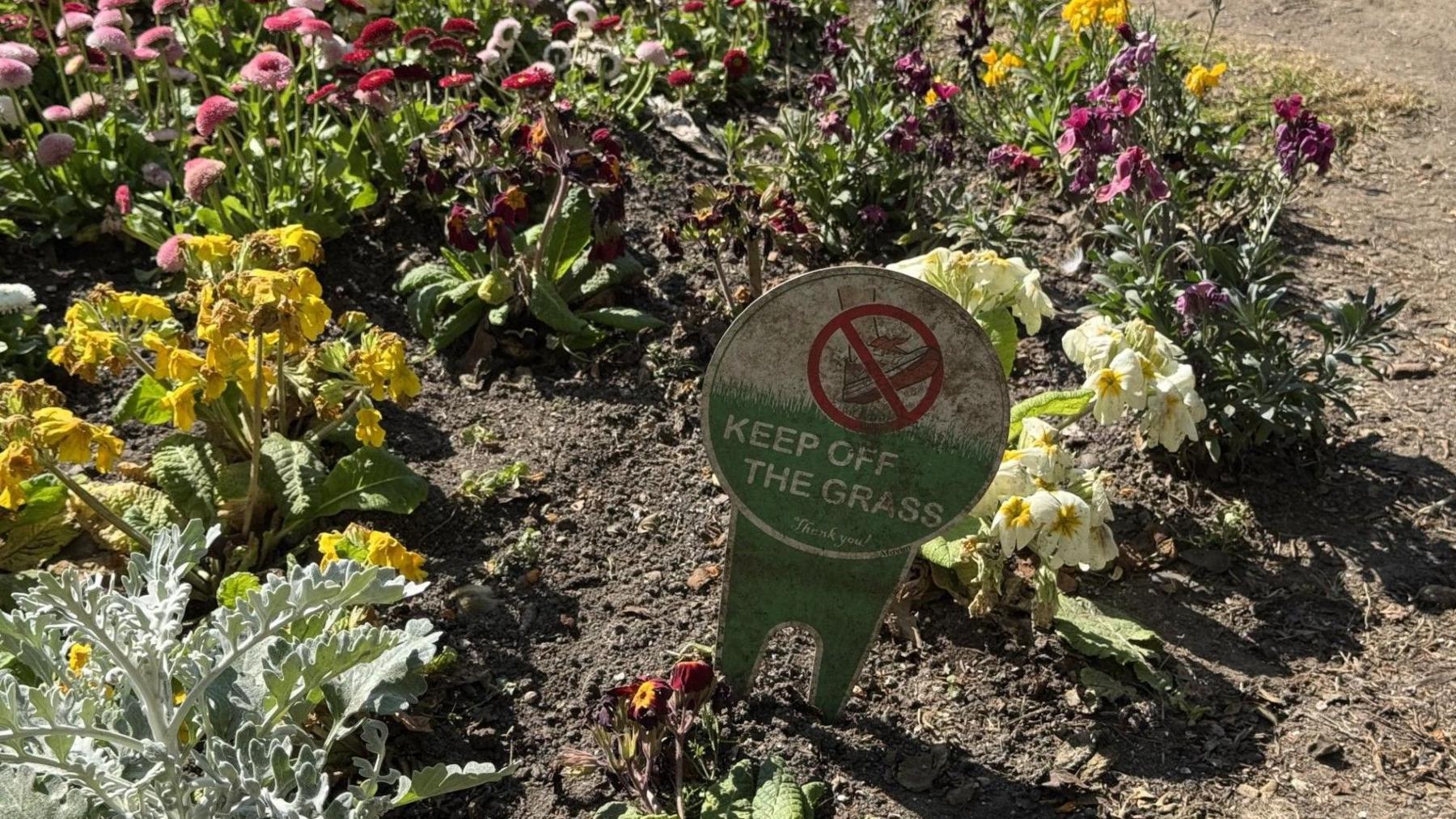 A keep off the grass sign in a flower bed at Westgate Gardens, surrounded by brightly coloured spring blooms.