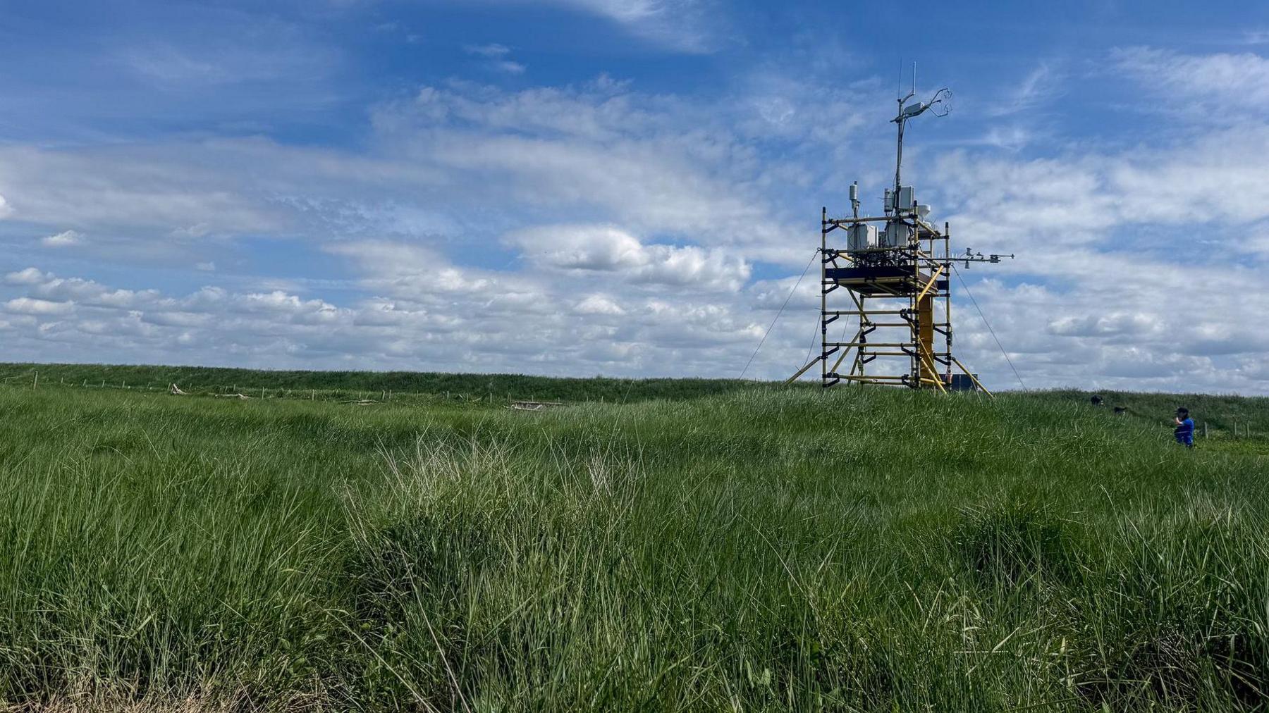 The image shows a yellow tower built of scaffolding poles that sits in a green carpet of marshland grass. The tower is fitted with analytical equipment that is measuring gases in the atmosphere around the saltmarsh