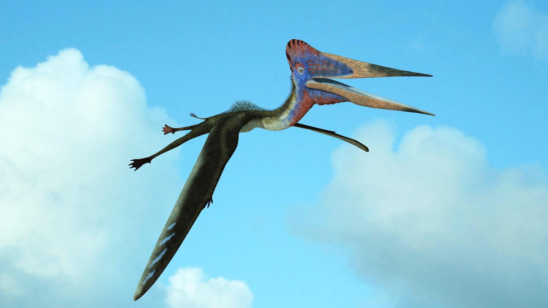 Flying reptile against a blue sky background