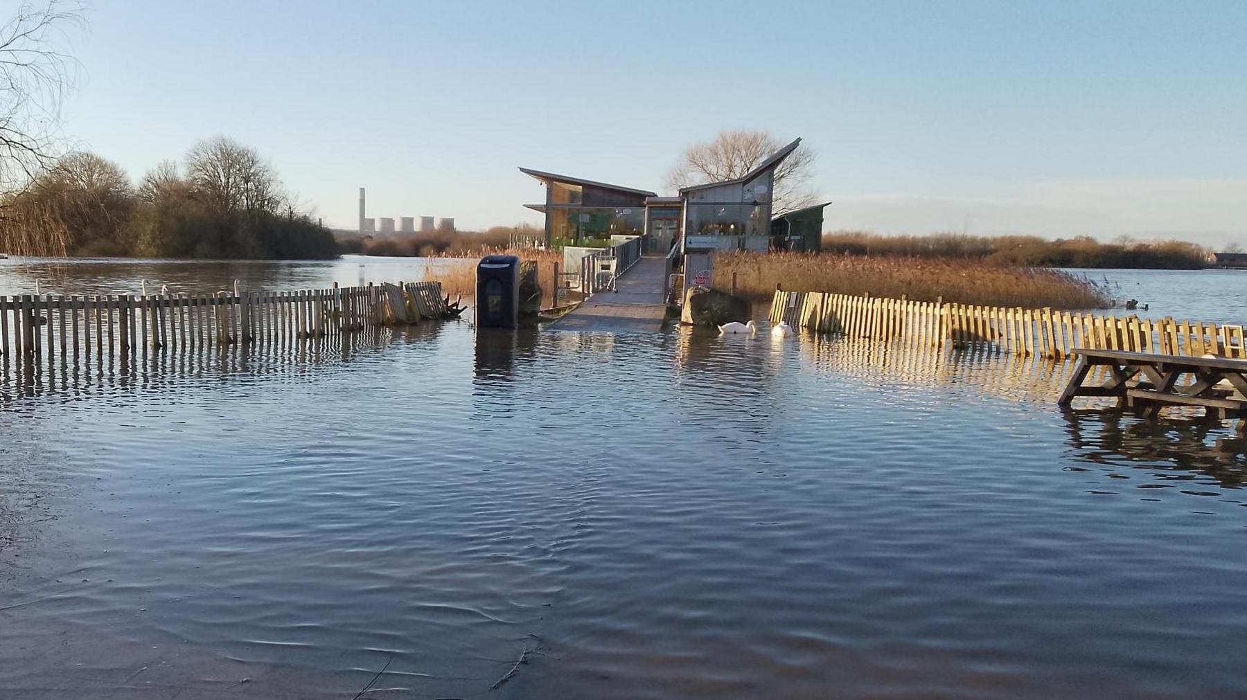 The path to a building is submerged underwater with swans swimming in it