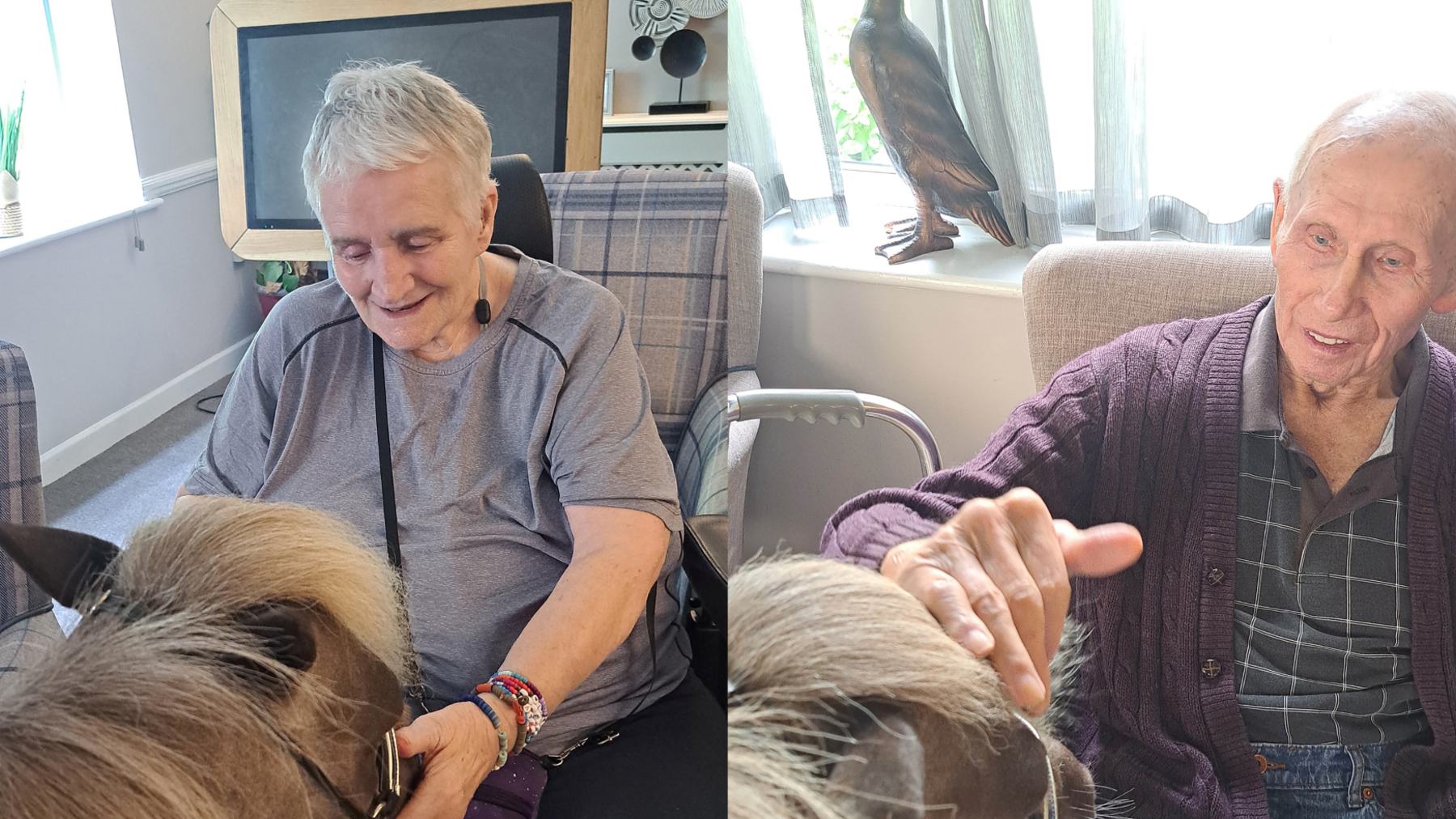 A composite image of two pictures side by side. On the left, a woman in a care home sits in a chair whilst petting a pony. On the right, an elderly man runs his right hand over the pony's mane.