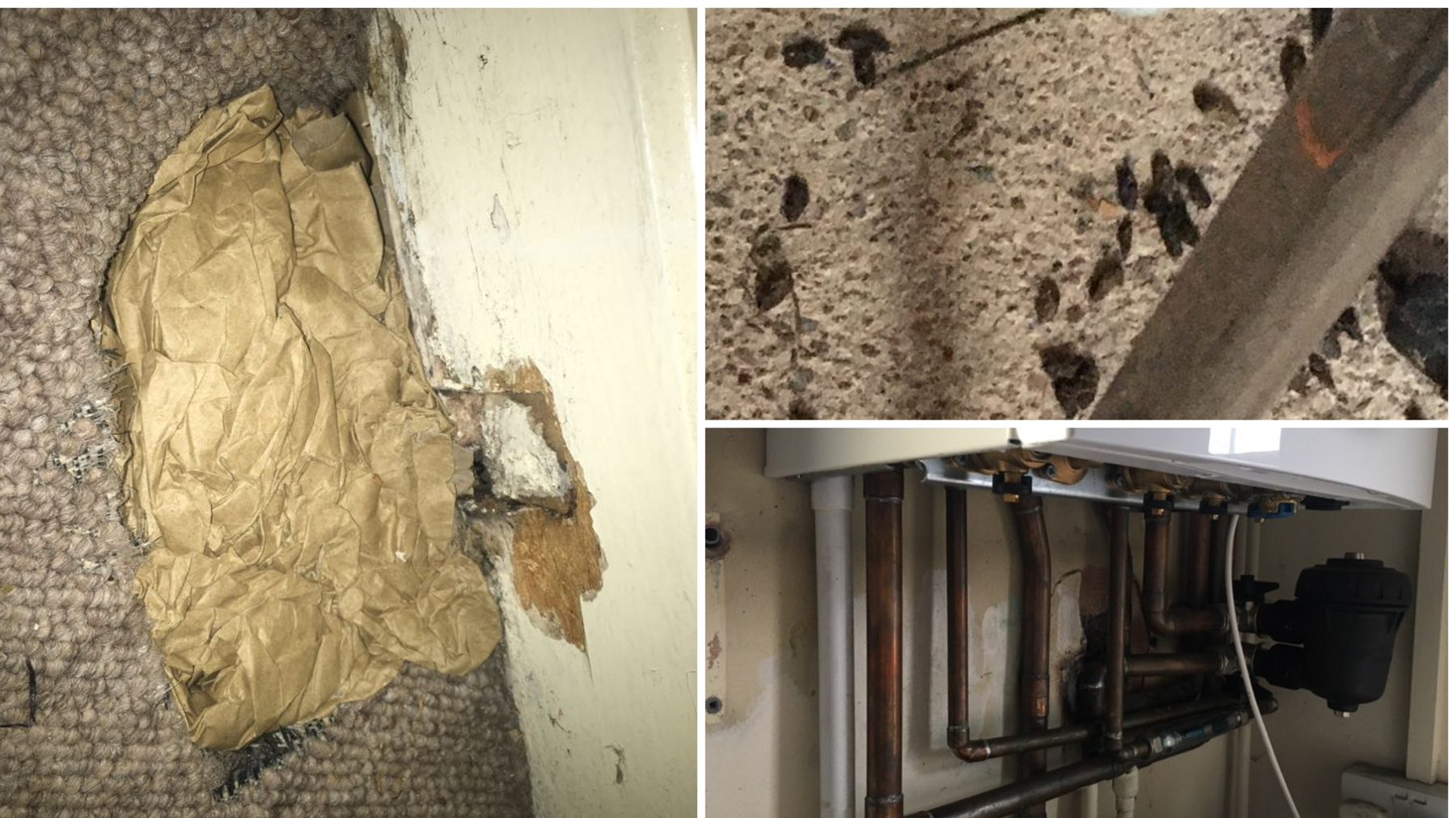 Three images taken in Amanda Wall's old house. The first picture shows a gap in the carpet and a hole in the wall. The second image shows rat droppings on the carpet. The third image shows the pipes underneath a gas boiler, which was leaking. 