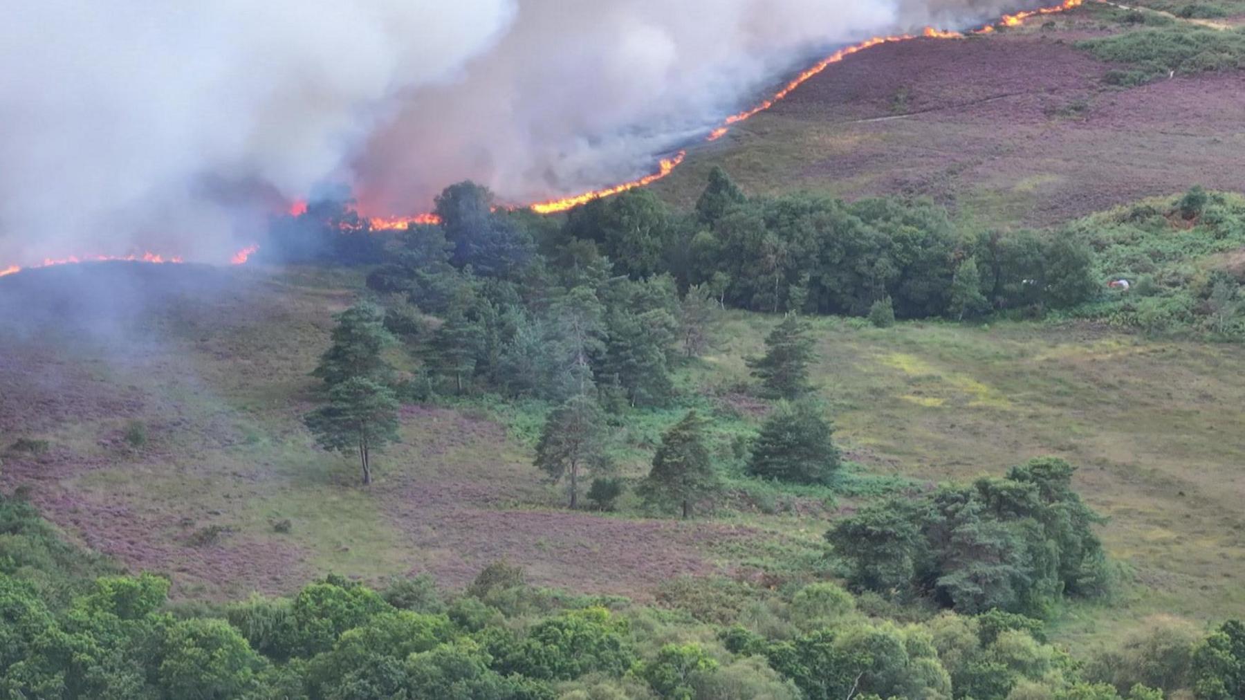 Orange and red flames in the trees and white smoke flowing up into the sky can be seen for several miles.