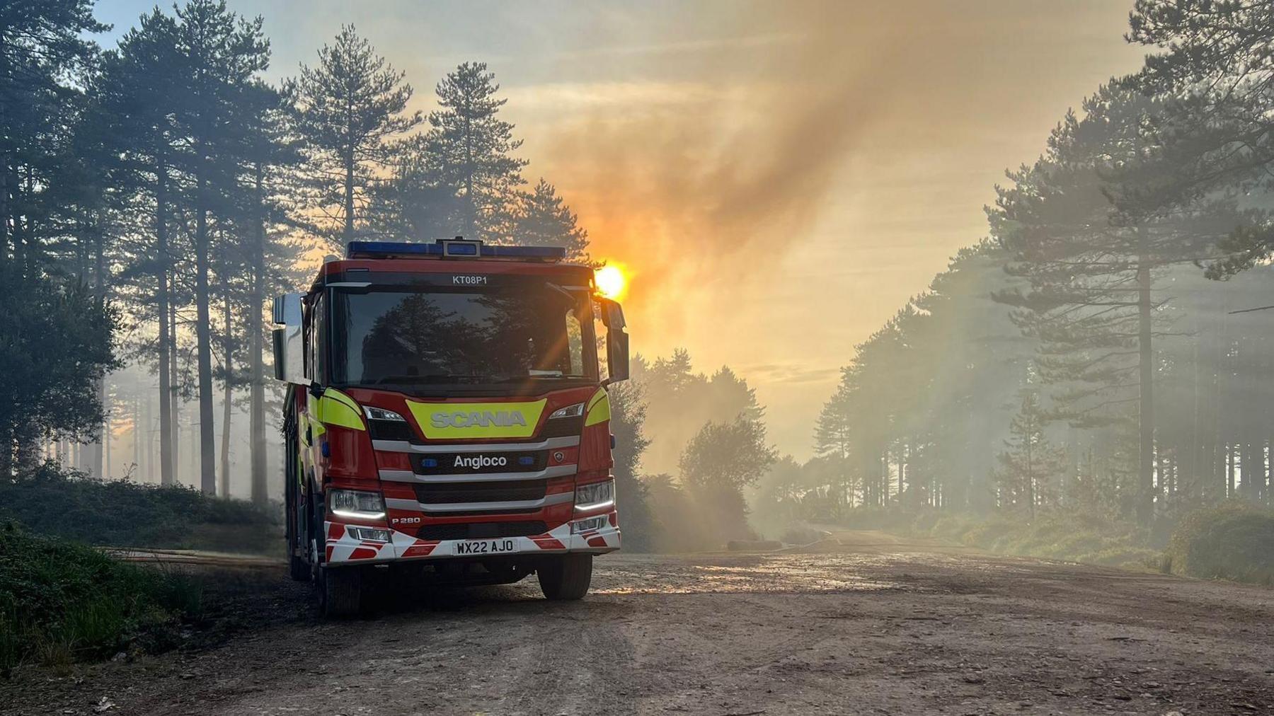 A fire engine is parked on a track through a pine forest at sunrise or sunset. The air is filled with smoke and the orange sun is low and silhouetting the pine trees.