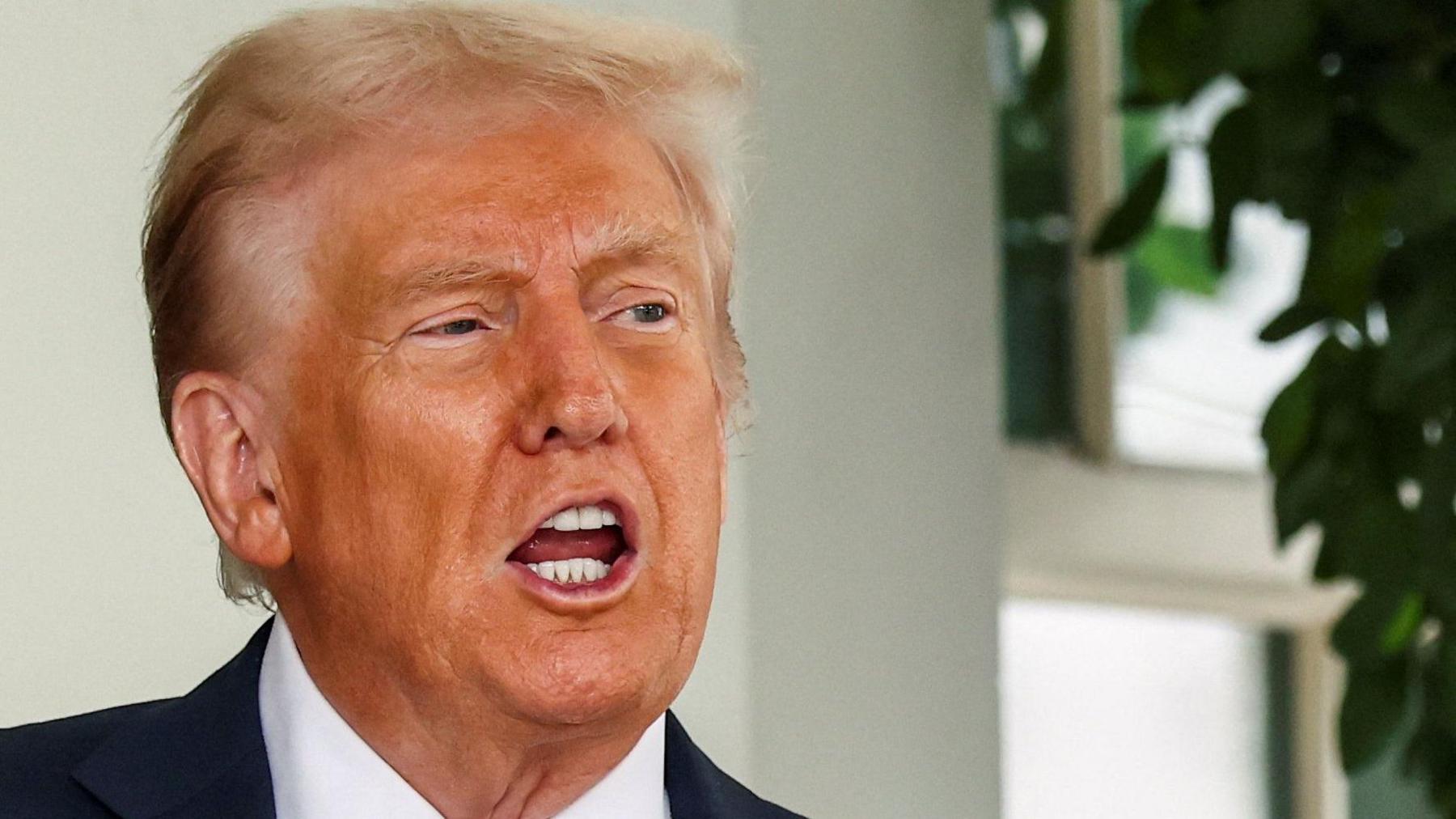 Donald Trump dressed in a dark suit jacket, white shirt and red patterned tie. The background features part of a window and green foliage from an indoor plant.