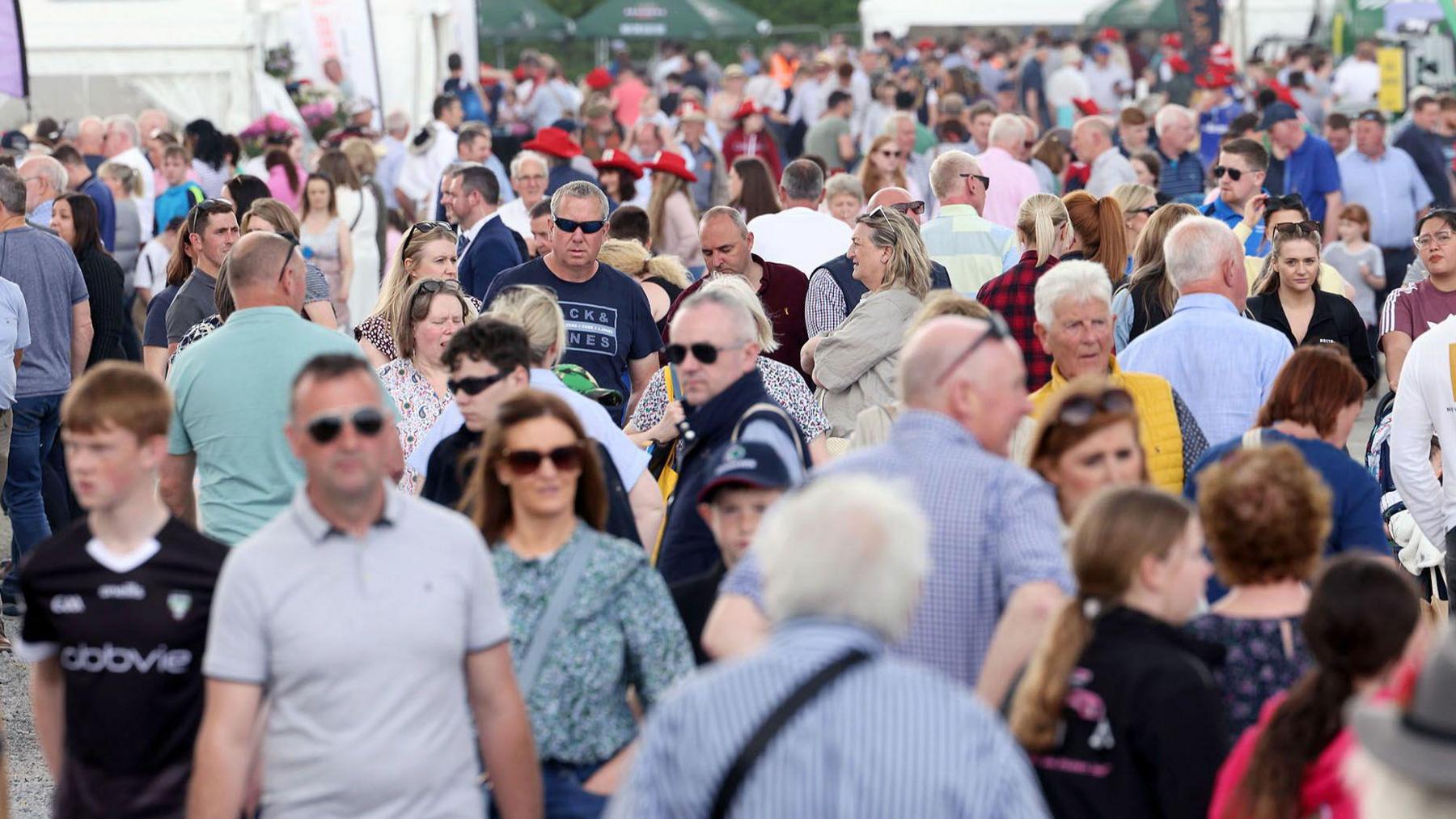 Balmoral Show visitors