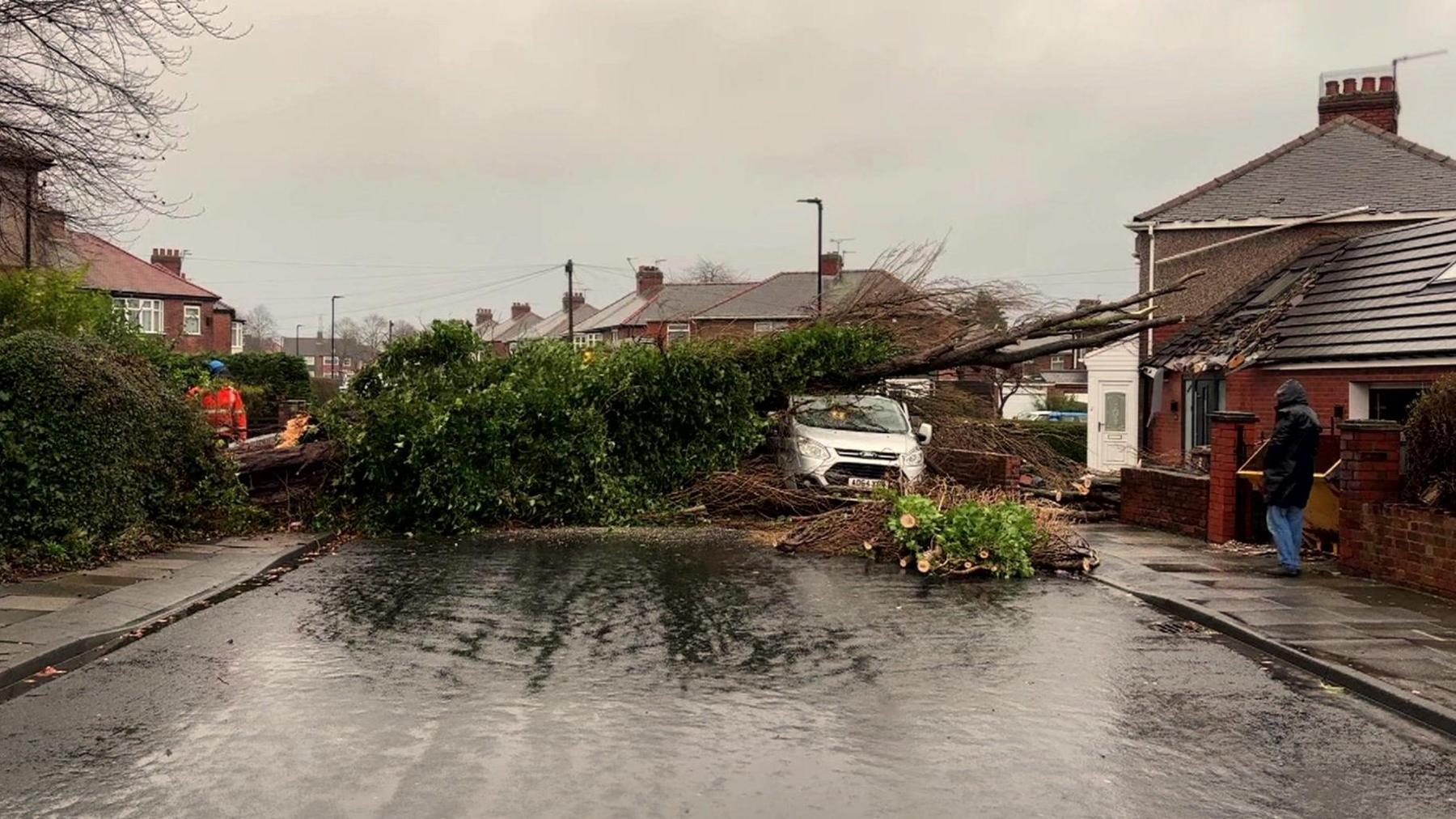 A fallen tree lies across a road. To the left is a man in a high visibilty jacket and to the right a white car, partially covered by the fallen tree, the top branches of which appear to have damaged the roof of a single-storey building