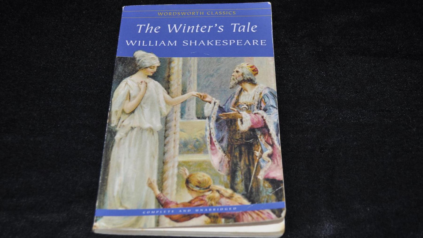 A picture of The Winter's Tale by William Shakespeare which has been entered into this year's Turnip Prize as Coldplay by the artist M.I Boverred