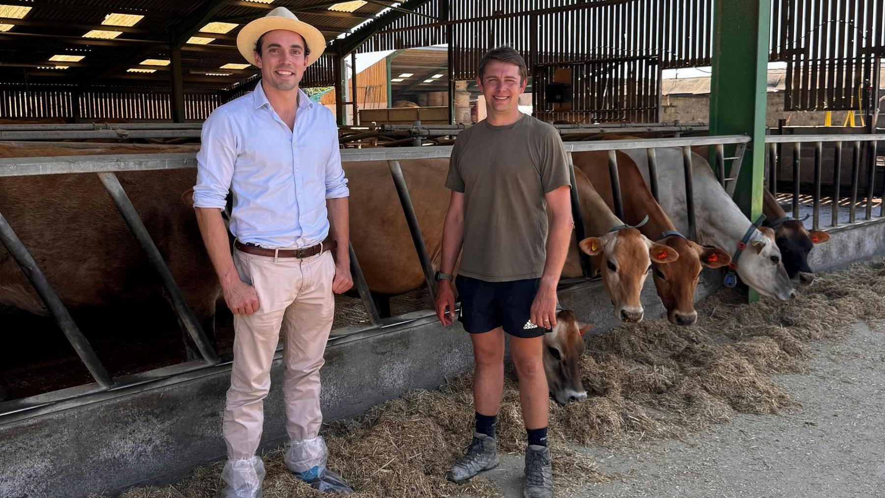 Henry Gay and Charlie Le Boutillier in a cow shed with heifers feeding