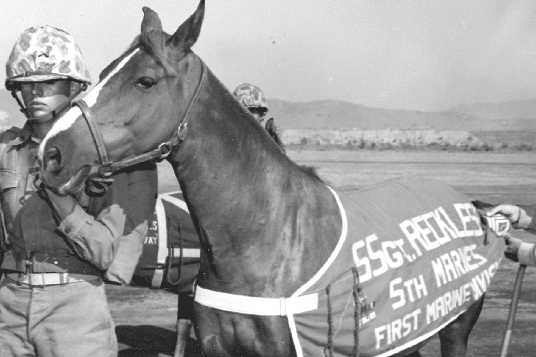 Sgt Reckless