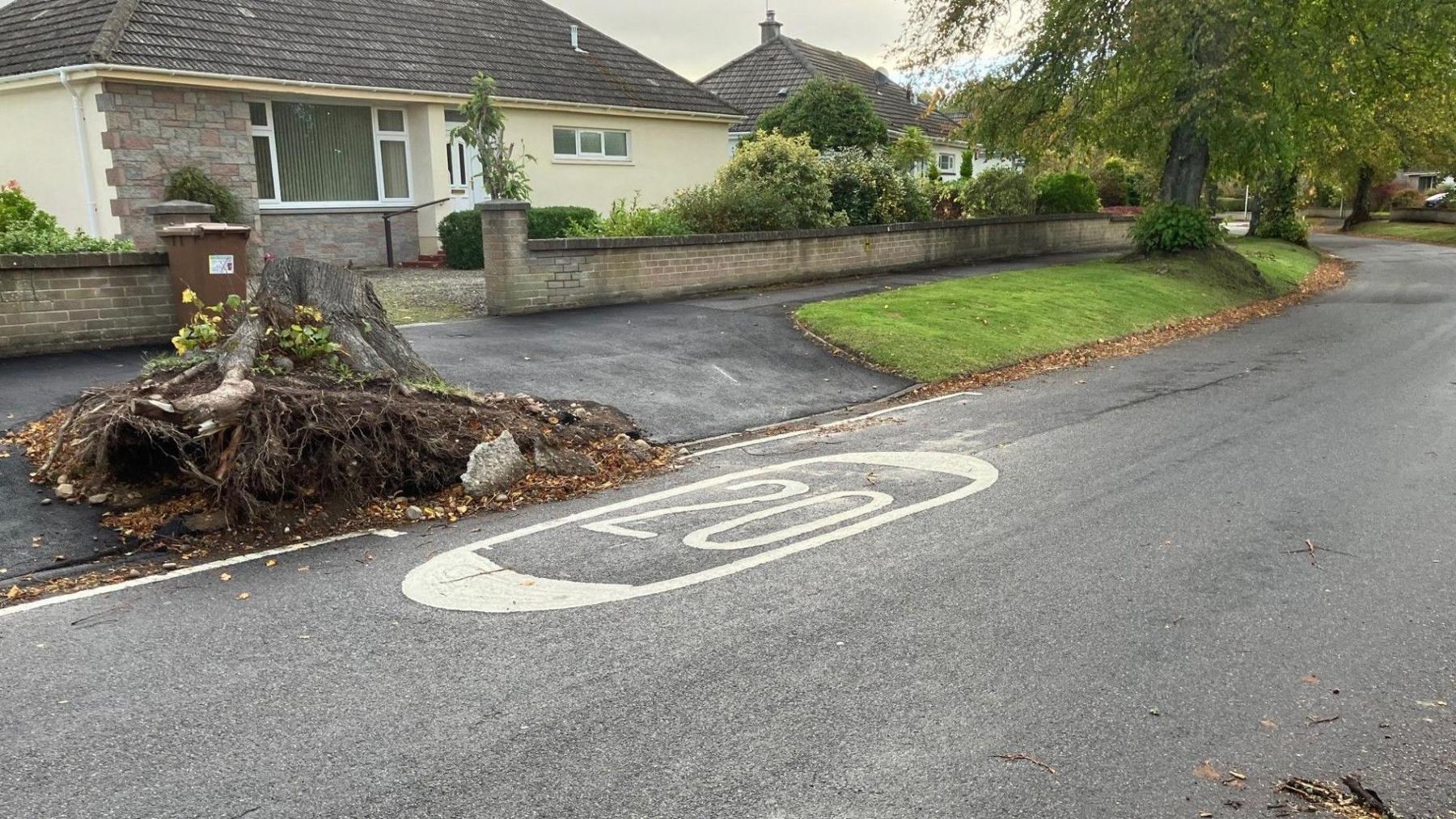 The stump is on the pavement. It has been uprooted and its roots are showing and there are lumps of broken tarmac. Part of Lochardil Road is in view along with some of its surviving trees.