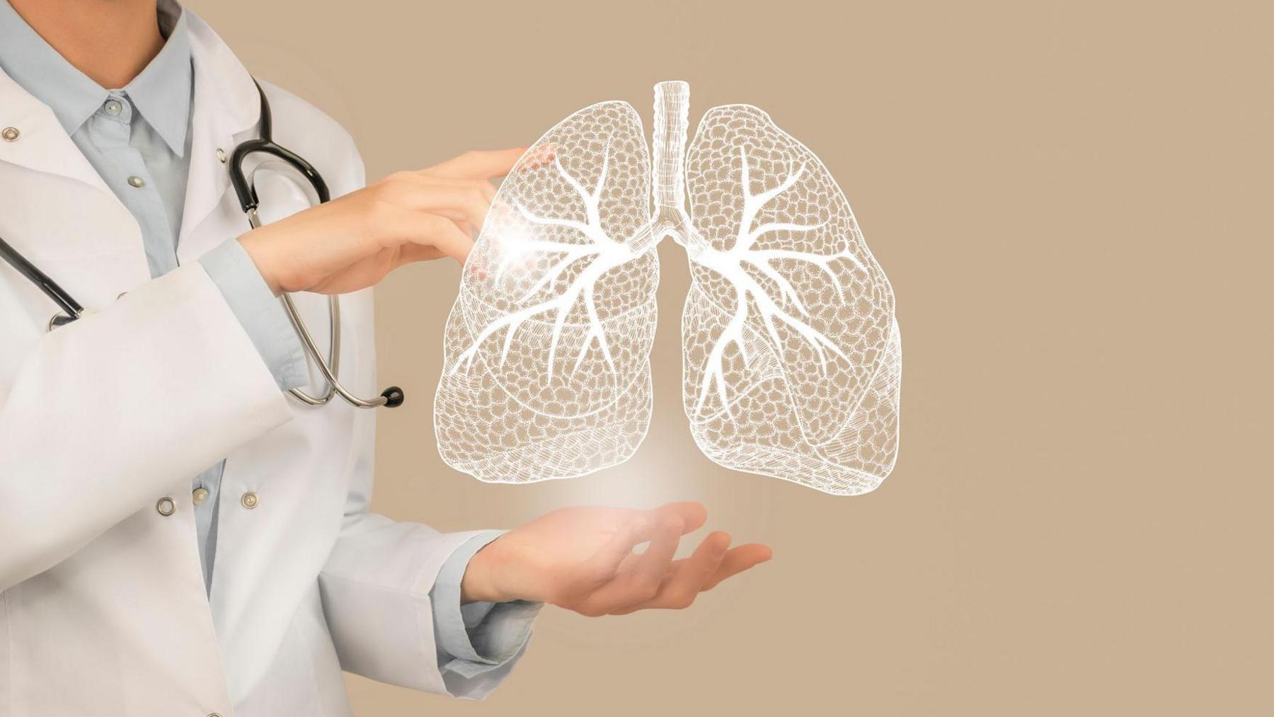 Lung diagram