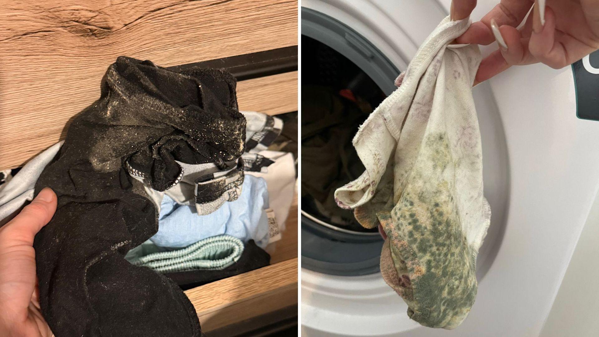 Two images side by side. The left image shows a pair of children's trousers which have patches of yellow mould on them. A drawer is open behind them. The right picture shows a white babygrow which is half stained green with thick mould.