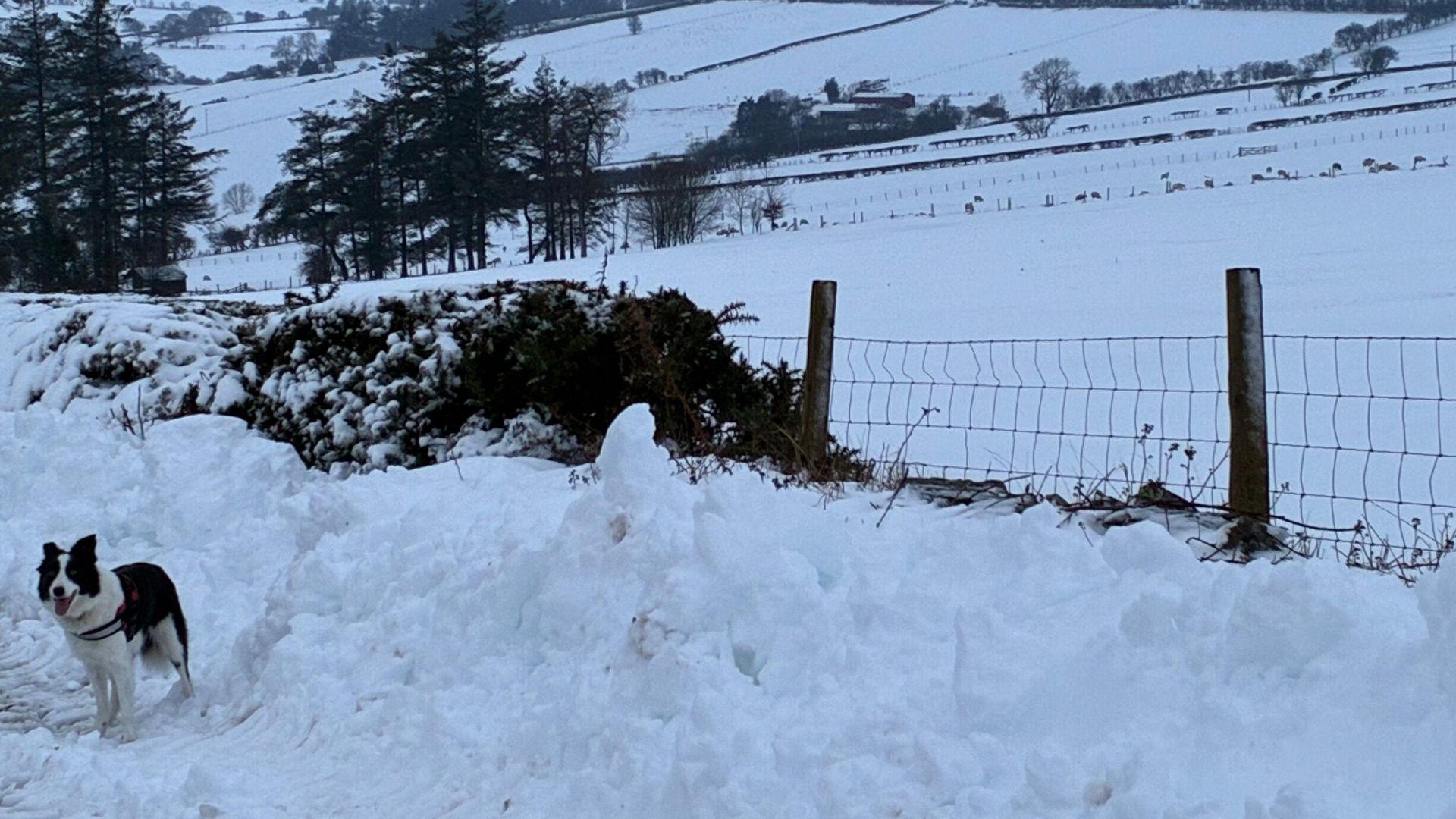 Ardal Llangollen yn Sir Ddinbych