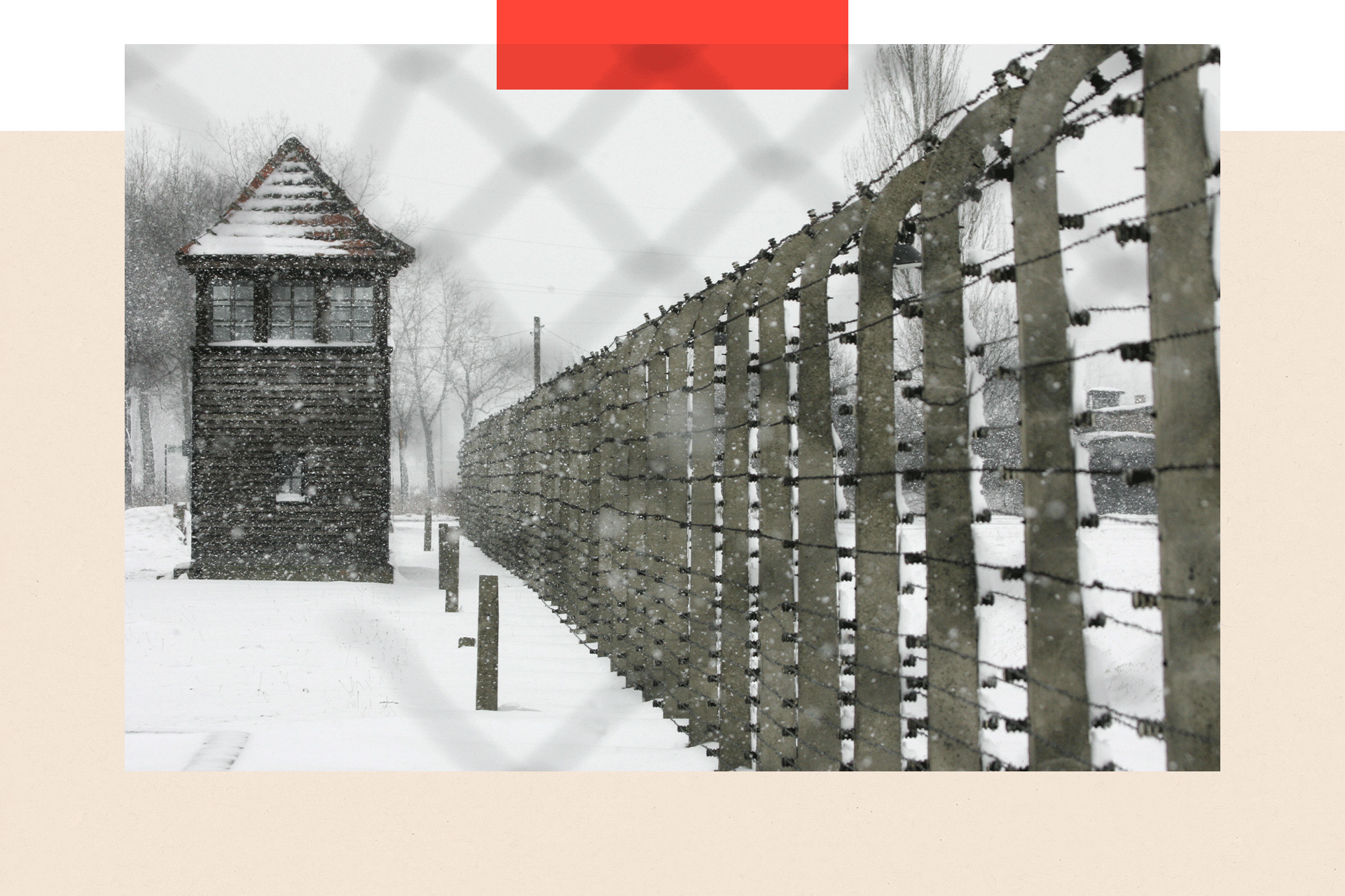 View of the barbed wire at Auschwitz-Birkenau. Snow is falling.
