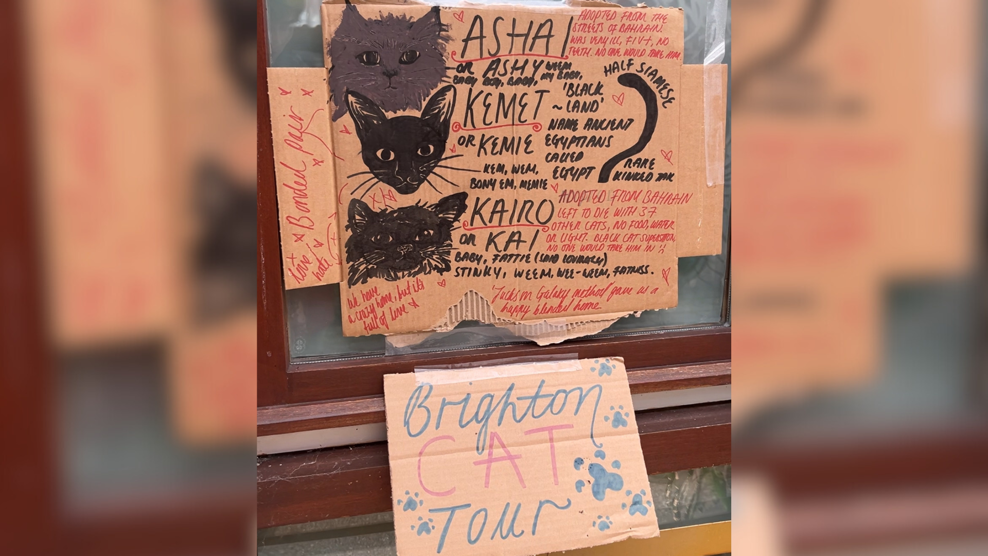 A poster outside on of the pitstops on the tour provides information on the three cats who live there: Ashai, Kemet and Kairo. The writing reads that Ashai was "adopted from the streets of Bahrain, Was very ill, FIV and no teeth. No one would take him." The section for Kairo reads "adopted from Bahrain. Left to die with 37 other cats, no food, water or light. Black cat superstition - no one would take him in." The bottom of the sign reads "we have a crazy home but it's full of love."