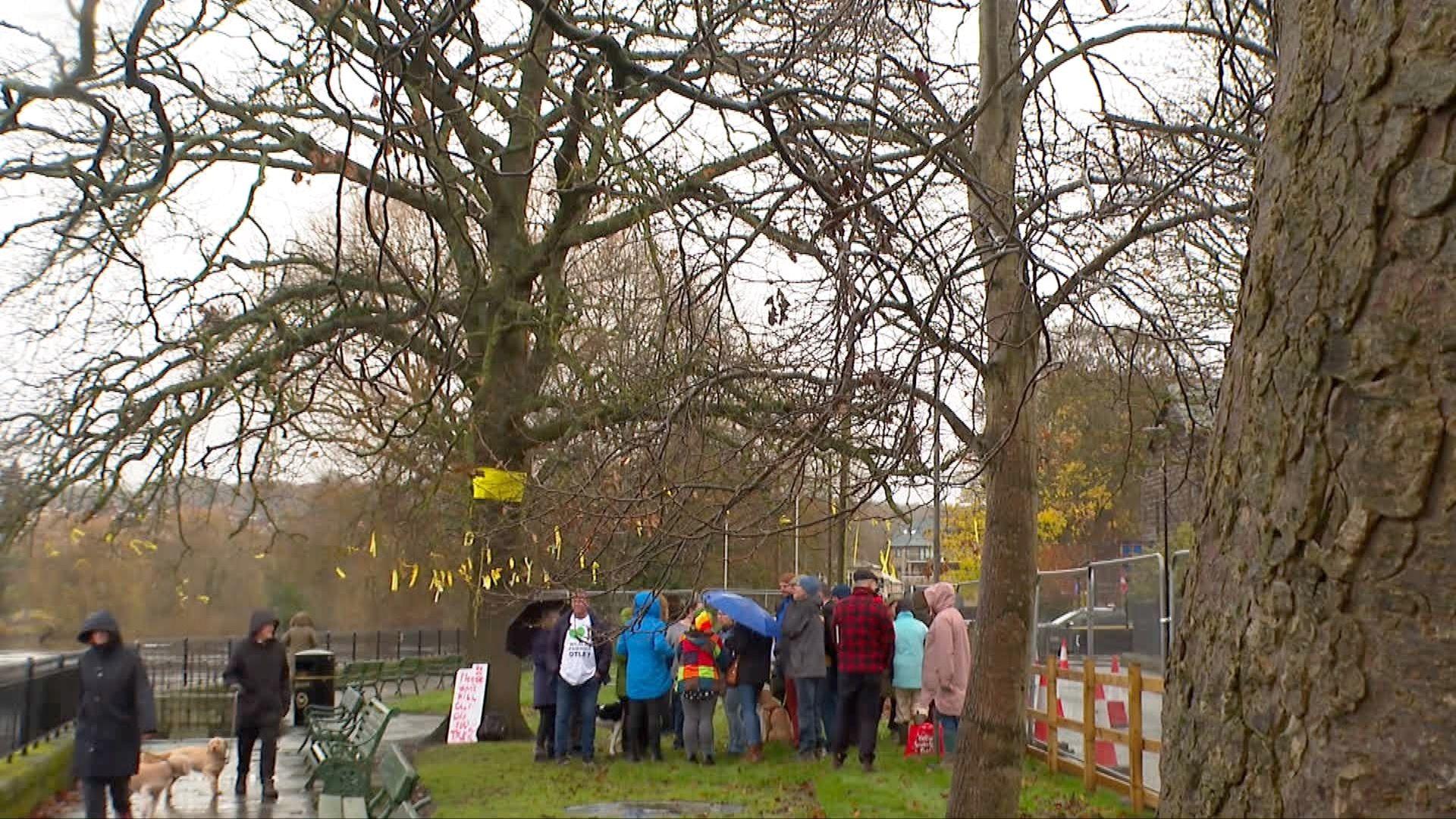 A number of people gathered around an oak tree. It is raining, with some people carrying umbrellas. 